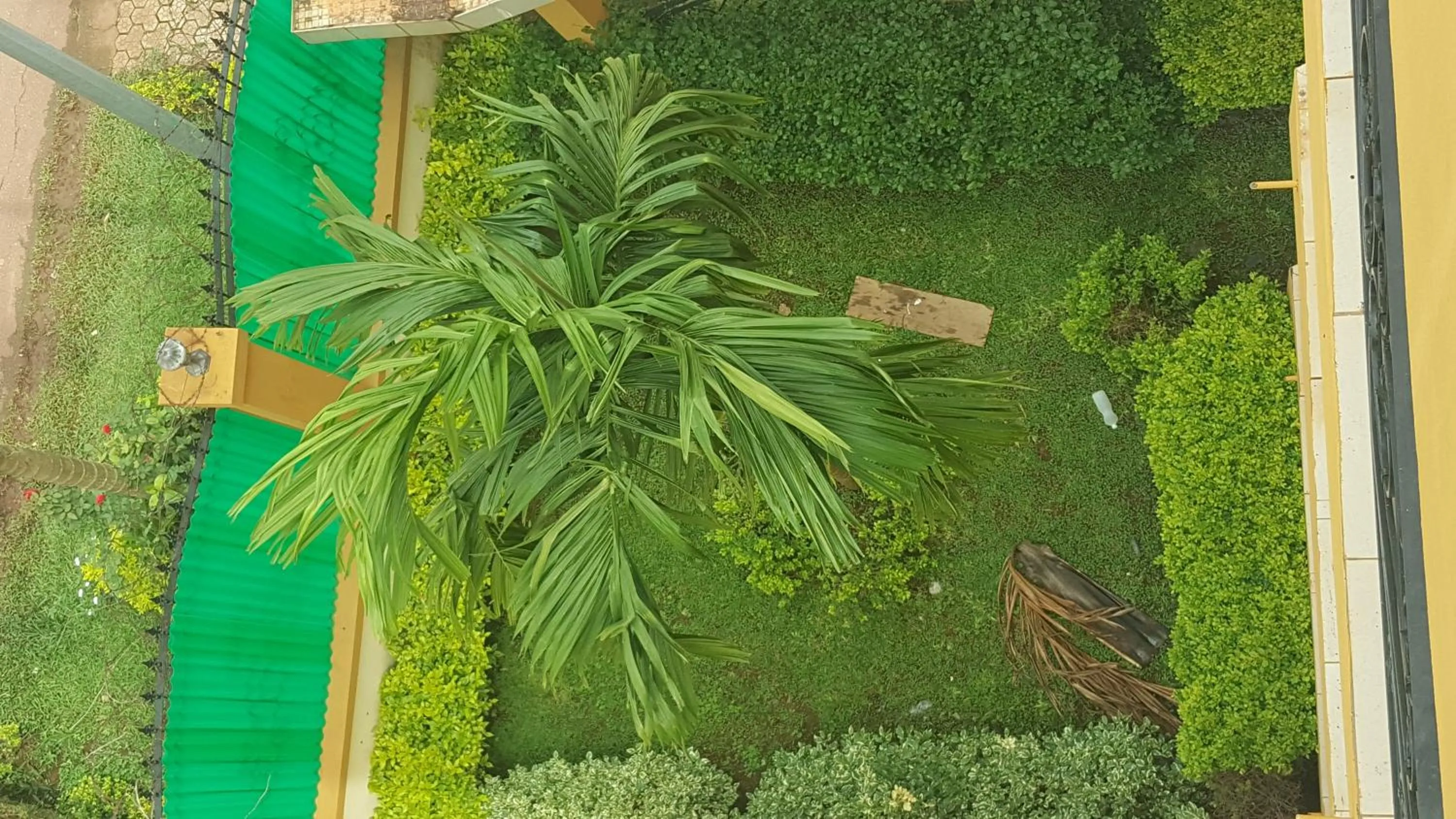 Garden in Résidences hôtelières Micheline et Emile BASTOS