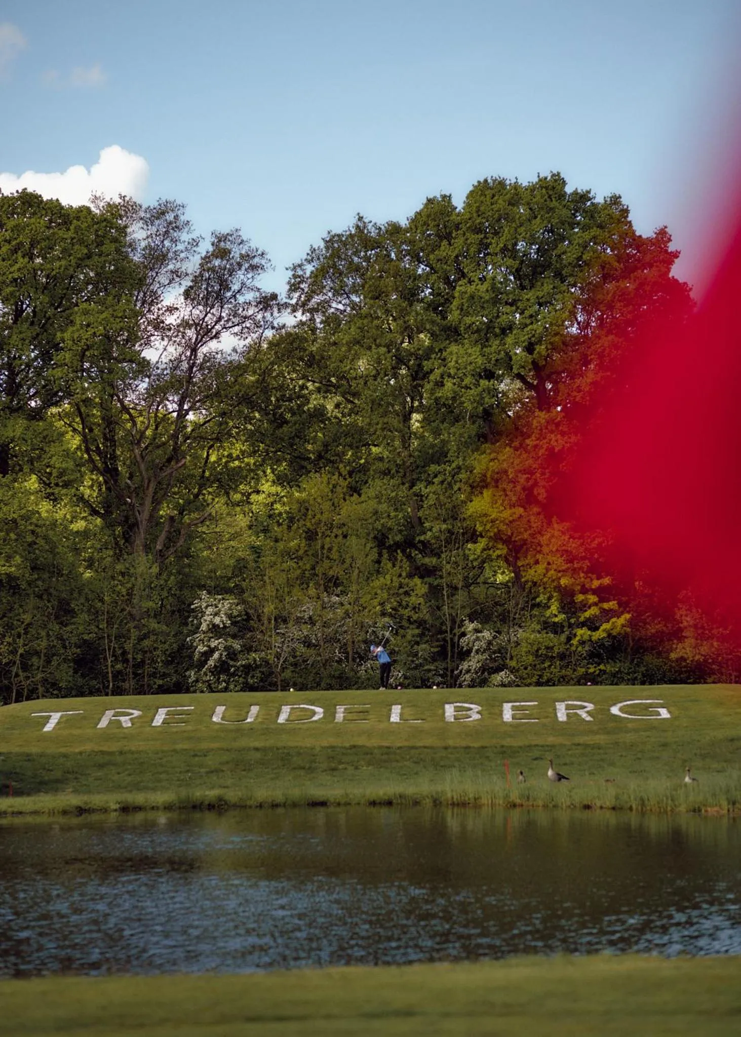 Natural landscape in Aparthotel Treudelberg Hamburg