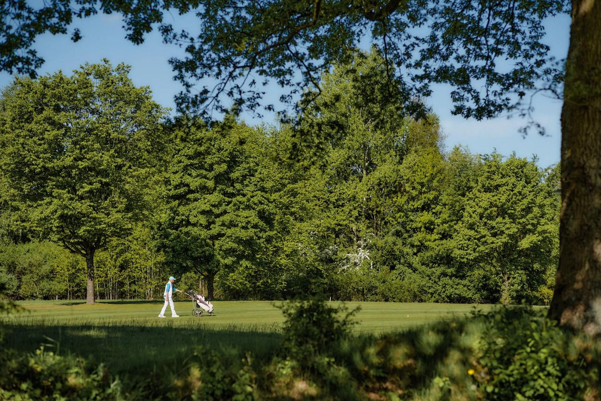 Natural landscape in Aparthotel Treudelberg Hamburg