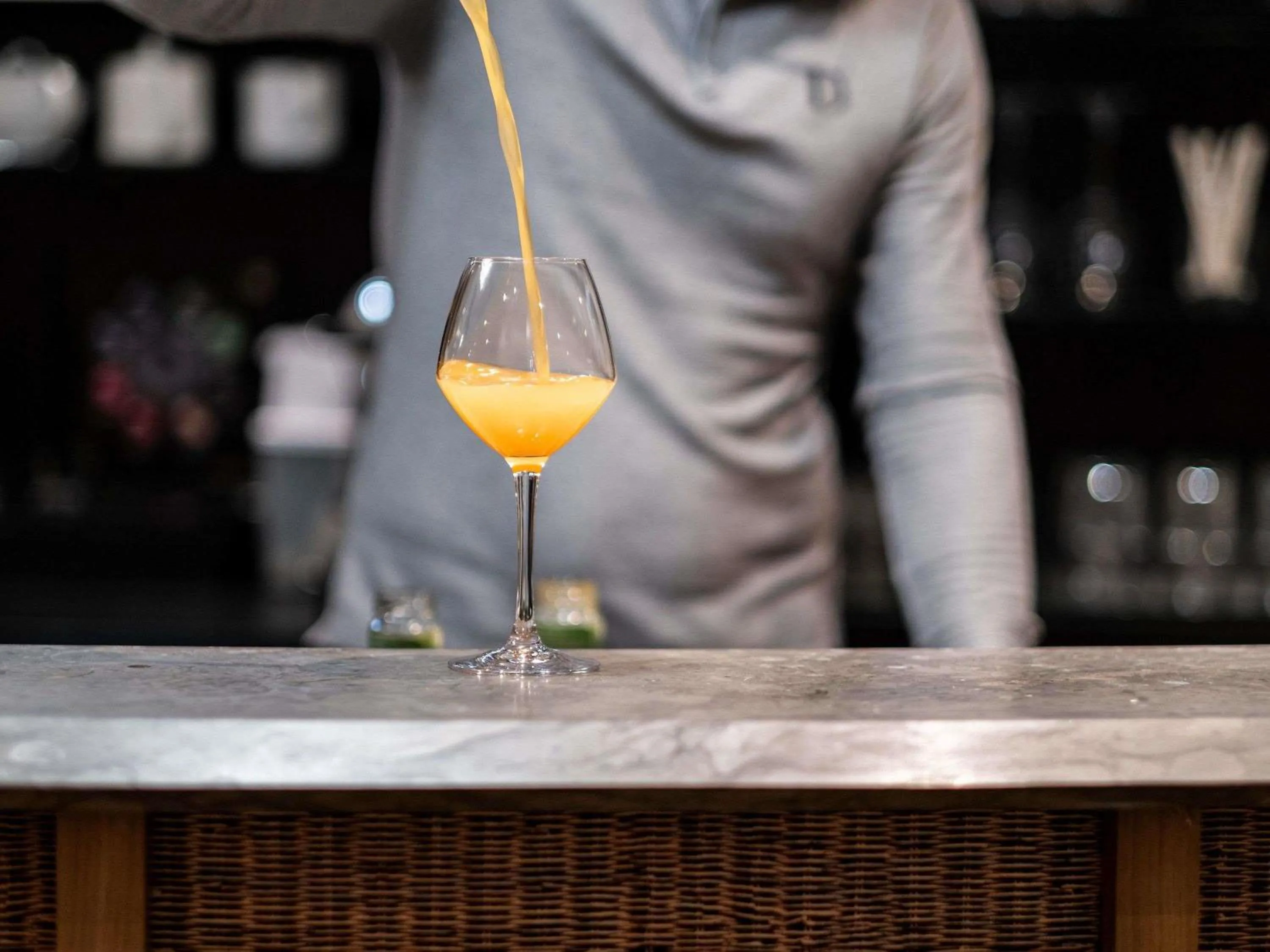 Other in Mercure Grenoble Meylan