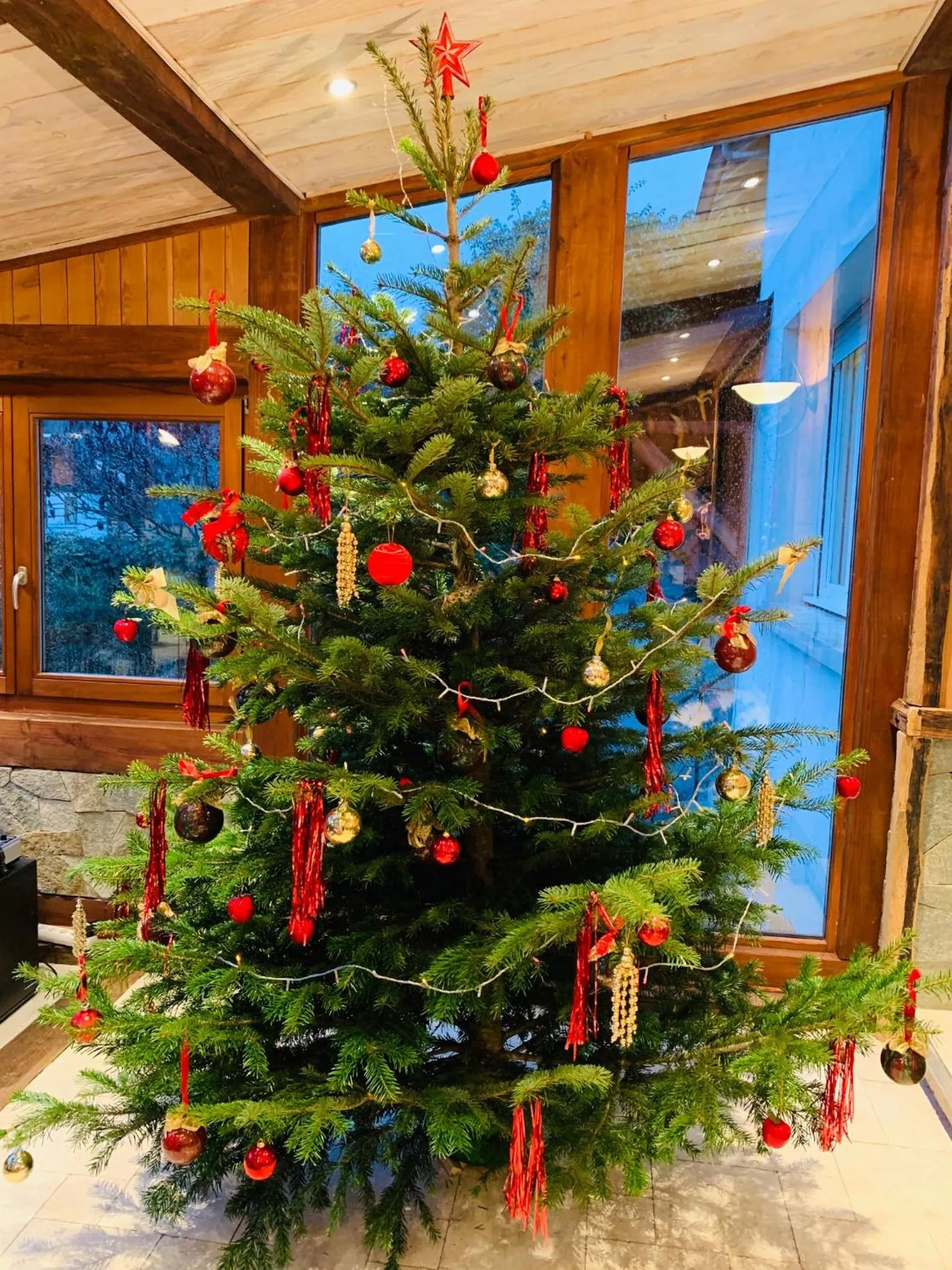 Garden in Chez MARLYSE-chambres et Table d'hôtes
