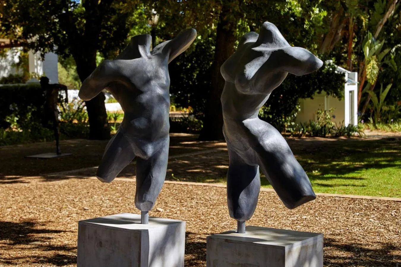 Blaauwklippen Manor by NEWMARK