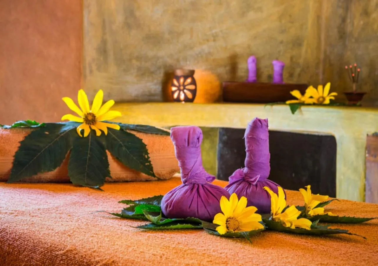 Spa and wellness centre/facilities in Yasmin Hill Longevity Oasis