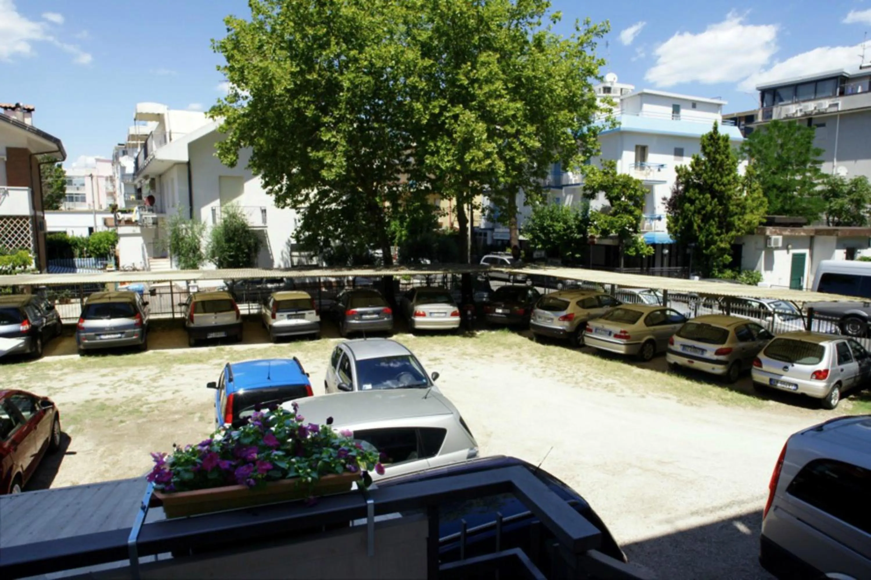 Garden in Hotel Irene