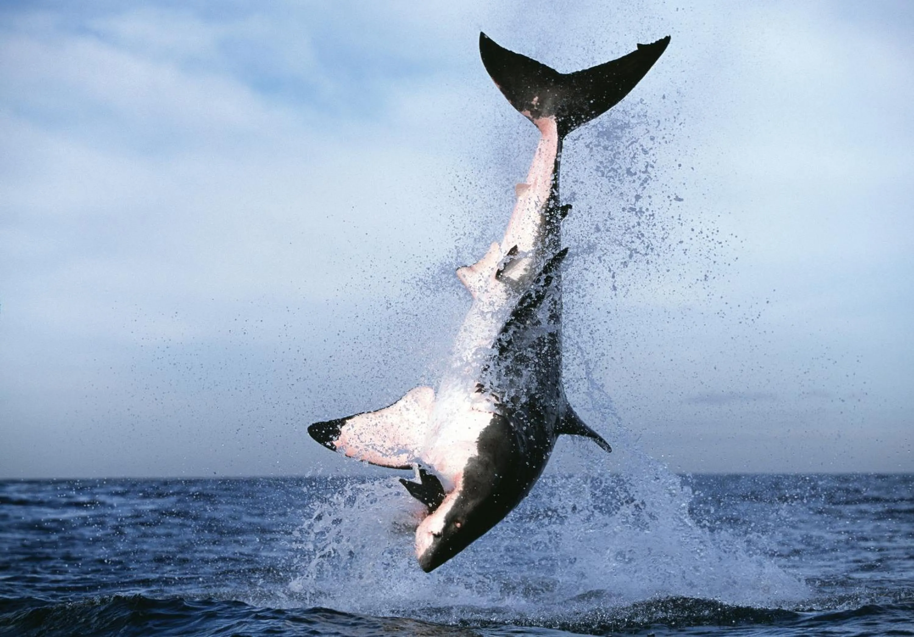 Fishing in 702 Canal Quays