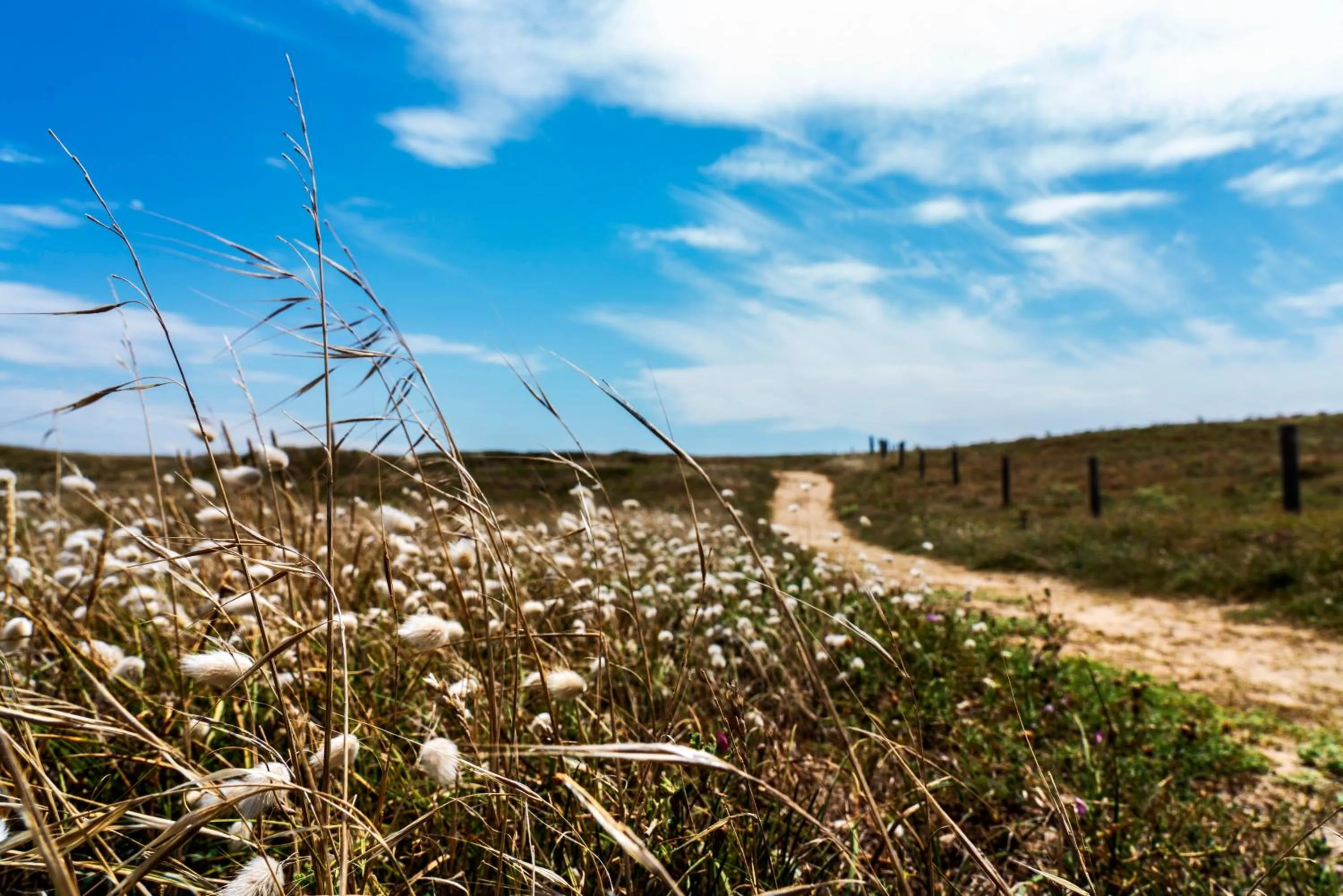 Natural landscape in Hôtel Valdys Thalasso & Spa - les Pins