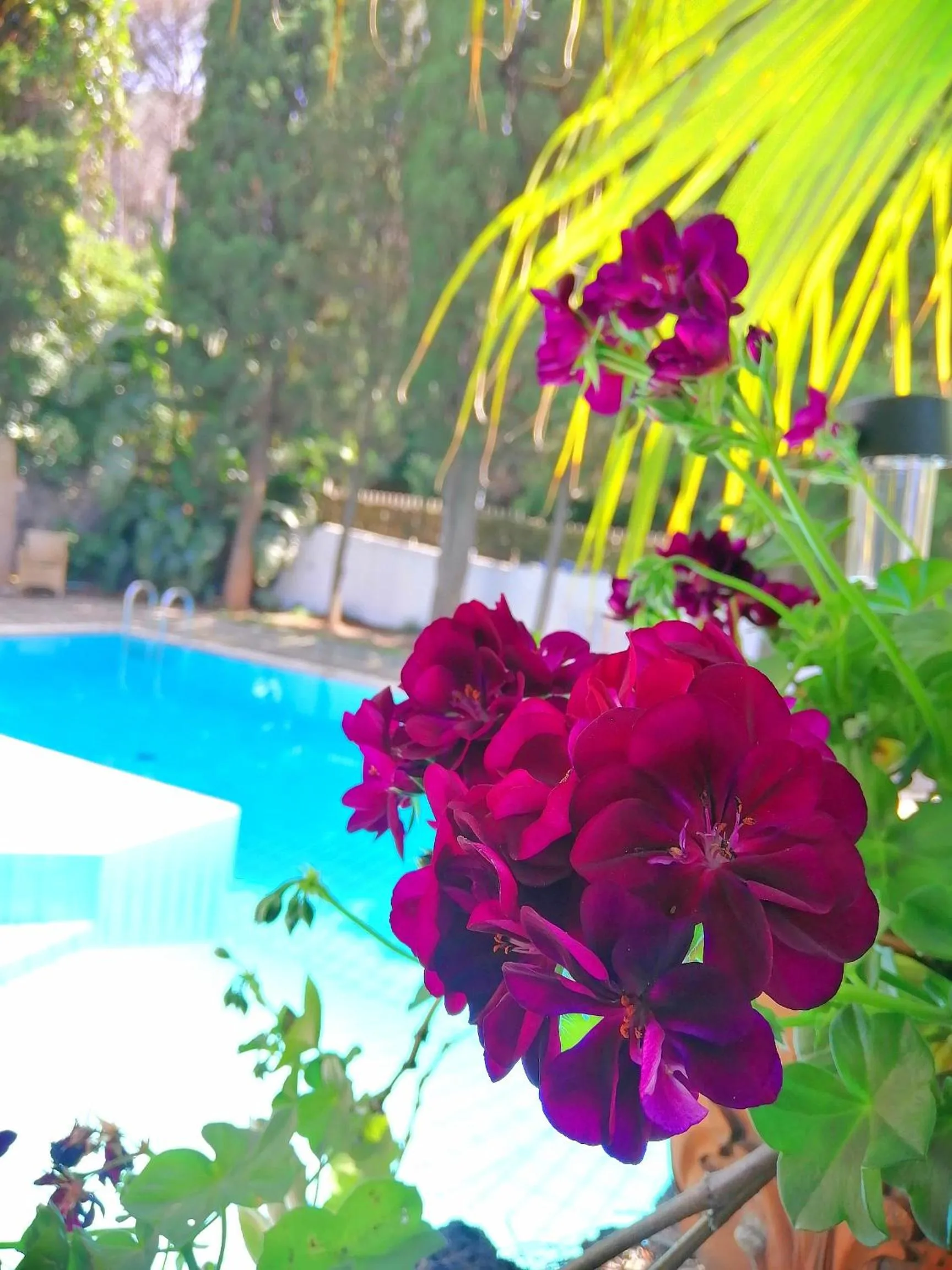 Spring in Villa Cinque Pini