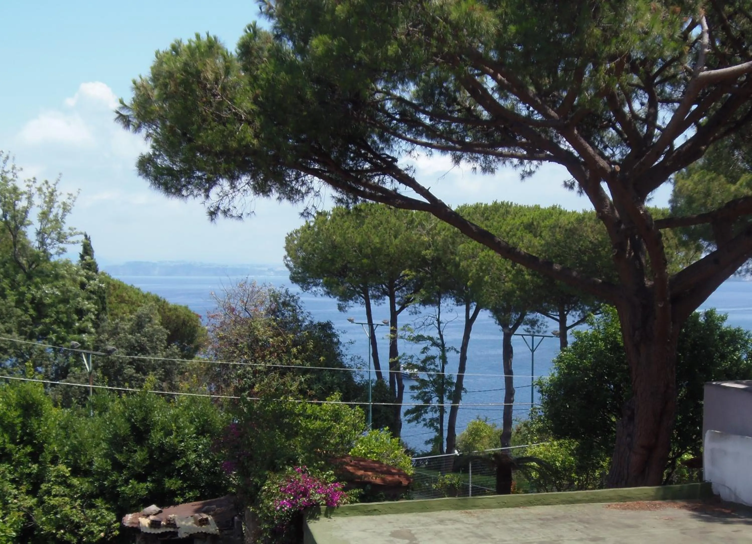 Garden view in Villa Cinque Pini