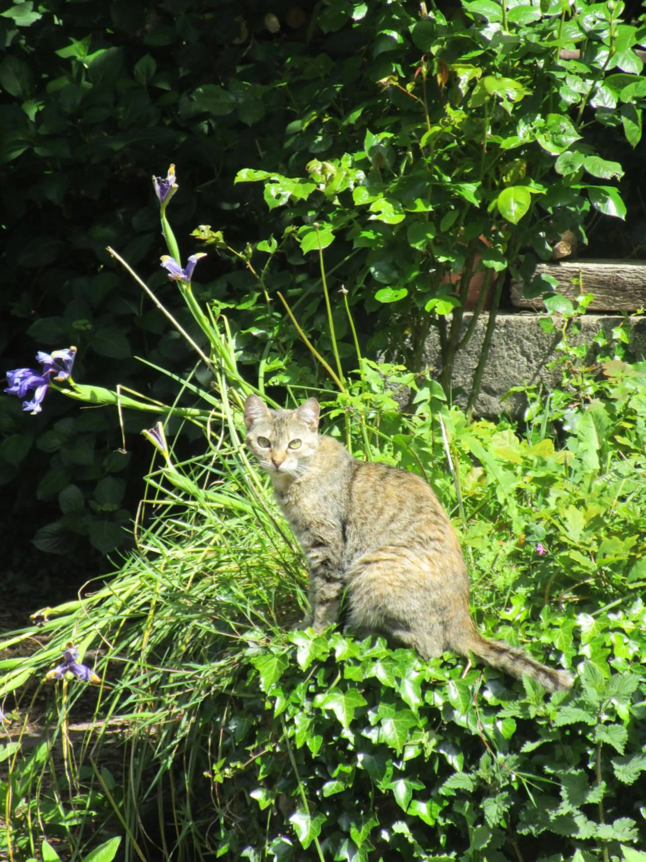 Property building in L'Ecrin de Pradou Glaz