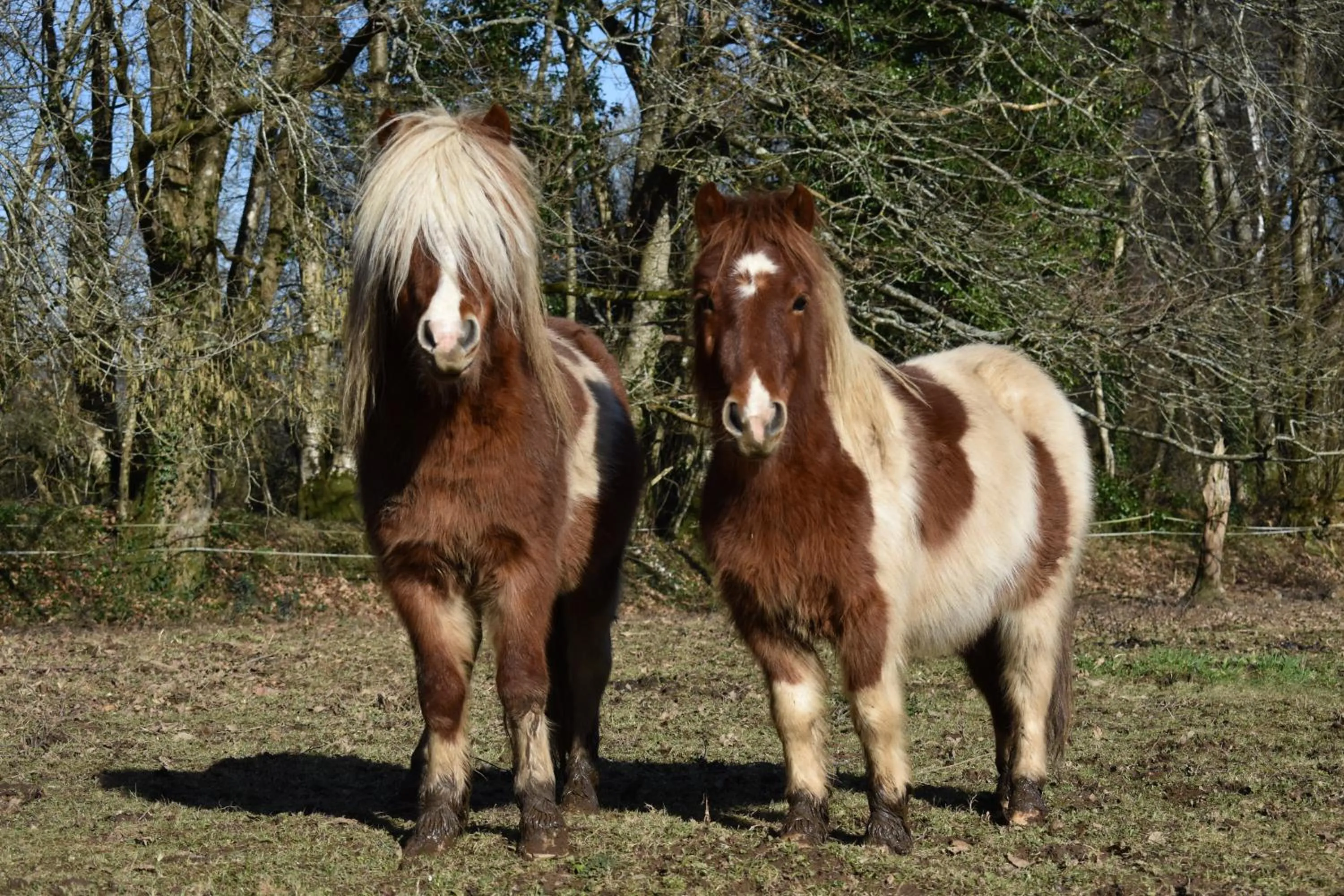 L'Ecrin de Pradou Glaz