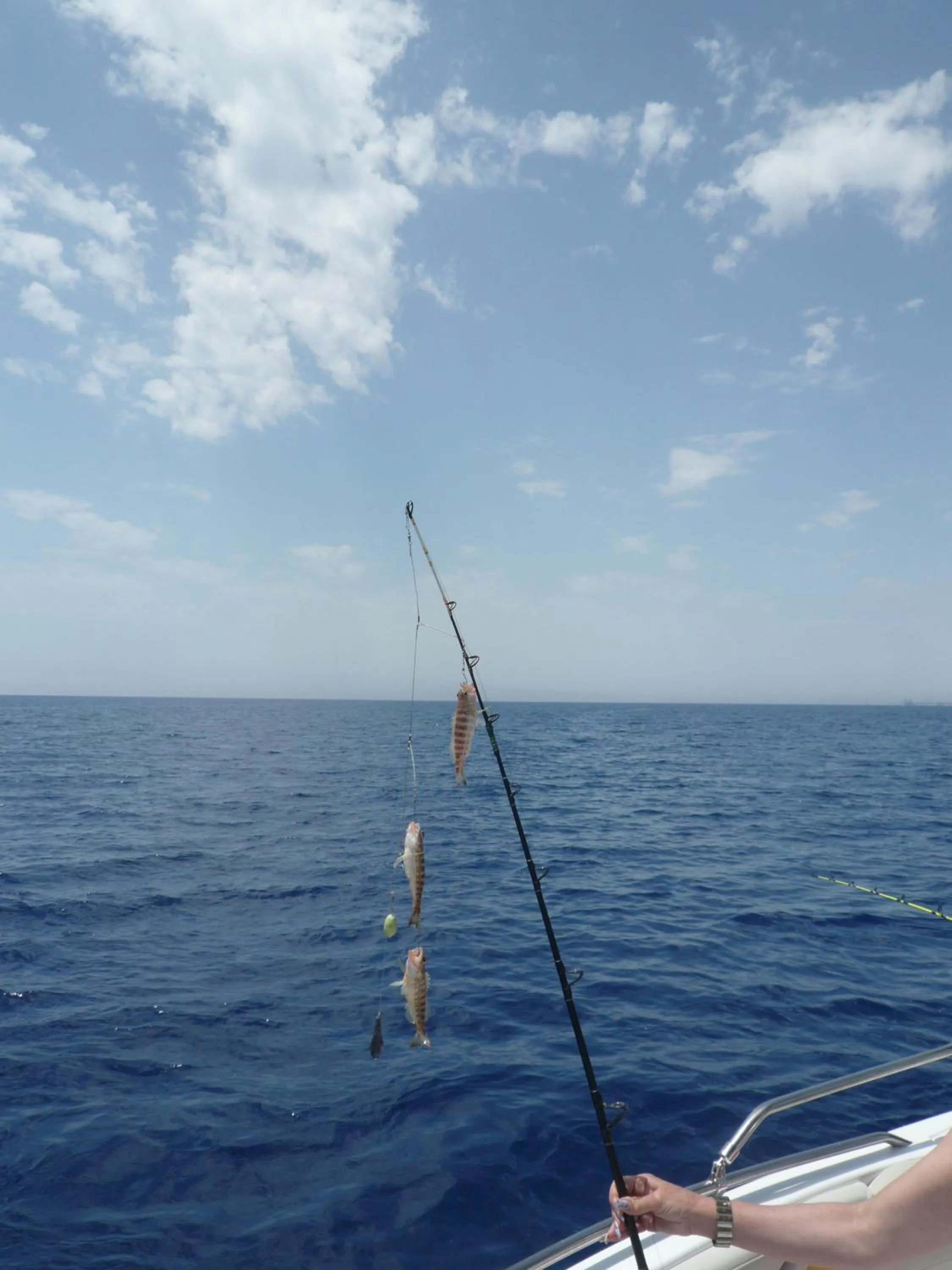 Fishing in Esperando