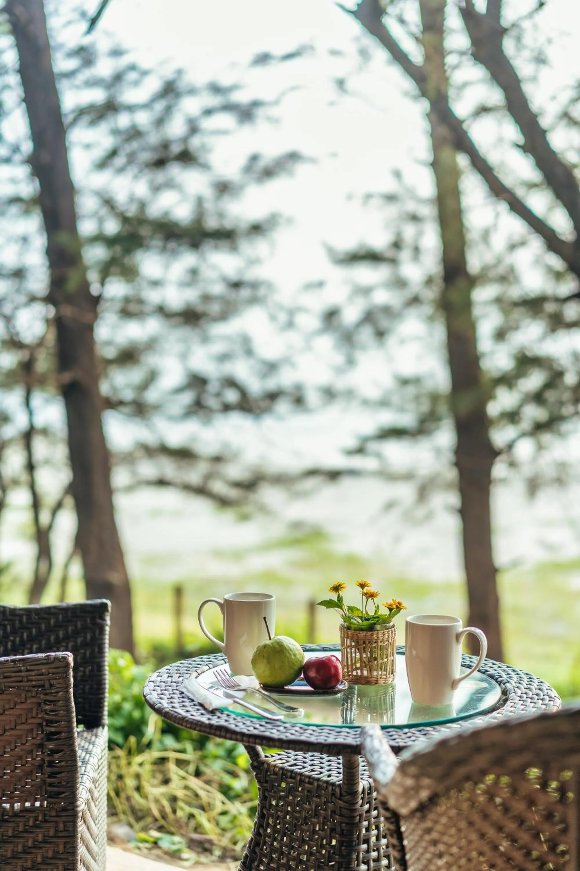 Garden in Mandrem Beach Resort, a member of Radisson Individuals Retreat