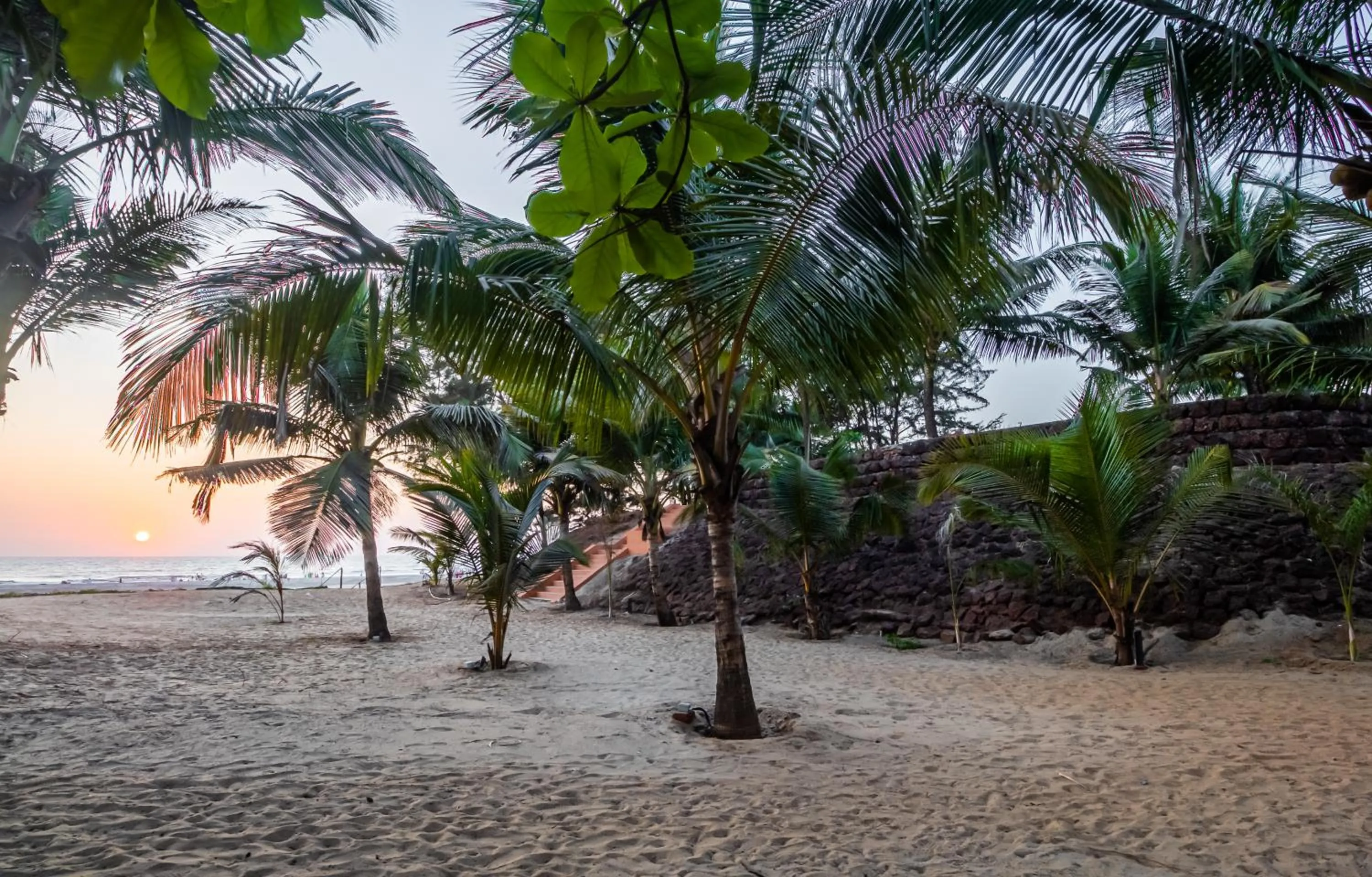 Day in Mandrem Beach Resort, a member of Radisson Individuals Retreat