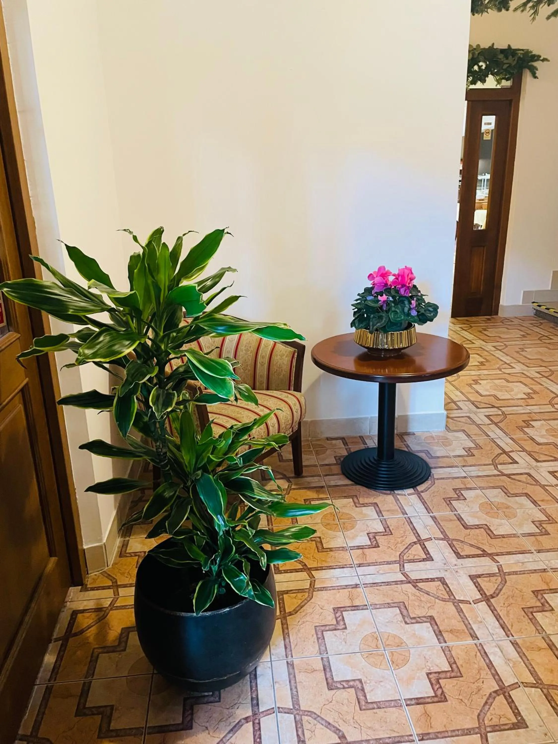 Seating area in Hotel Majovey