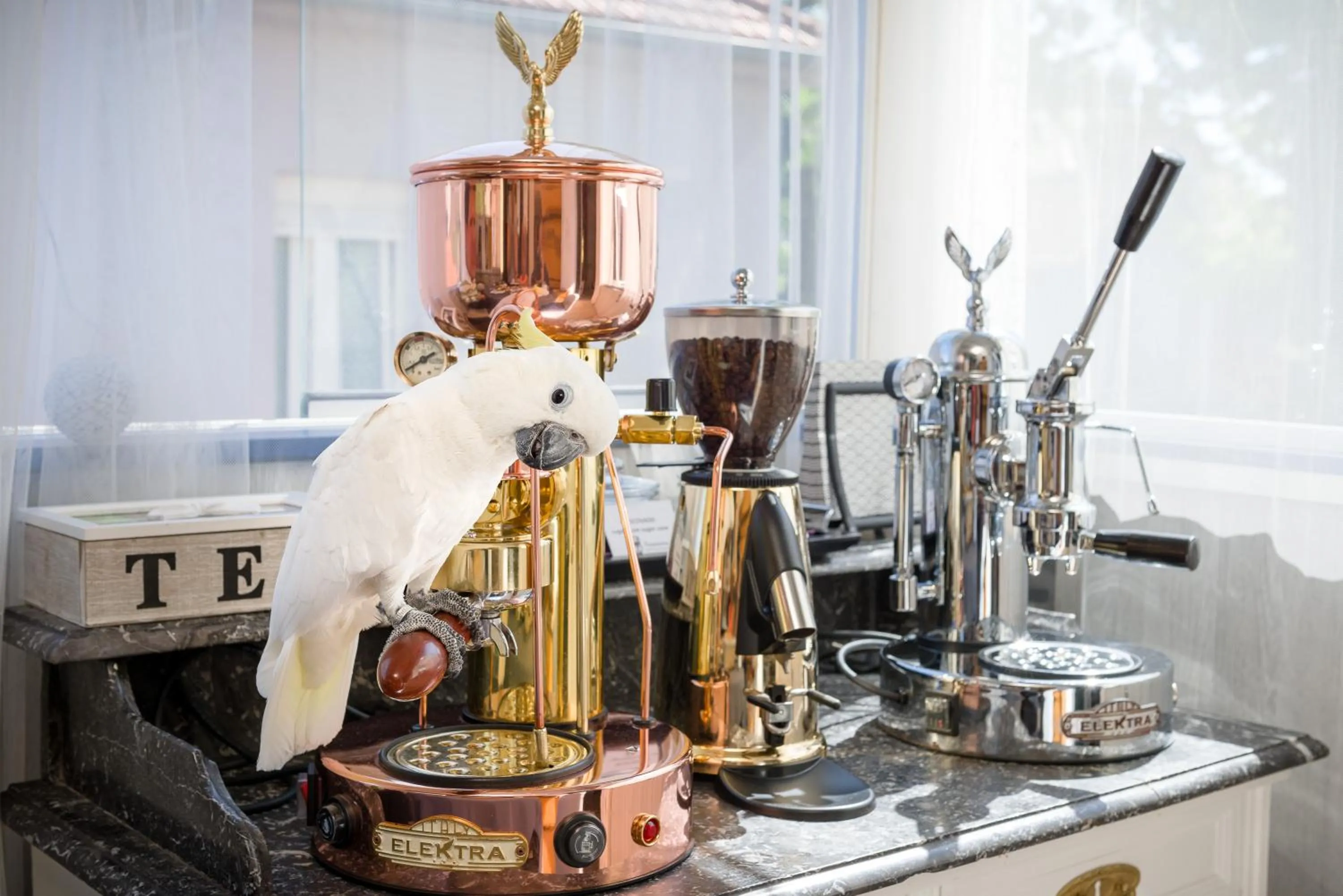 Coffee/tea facilities in Anastasia Suites Zagreb