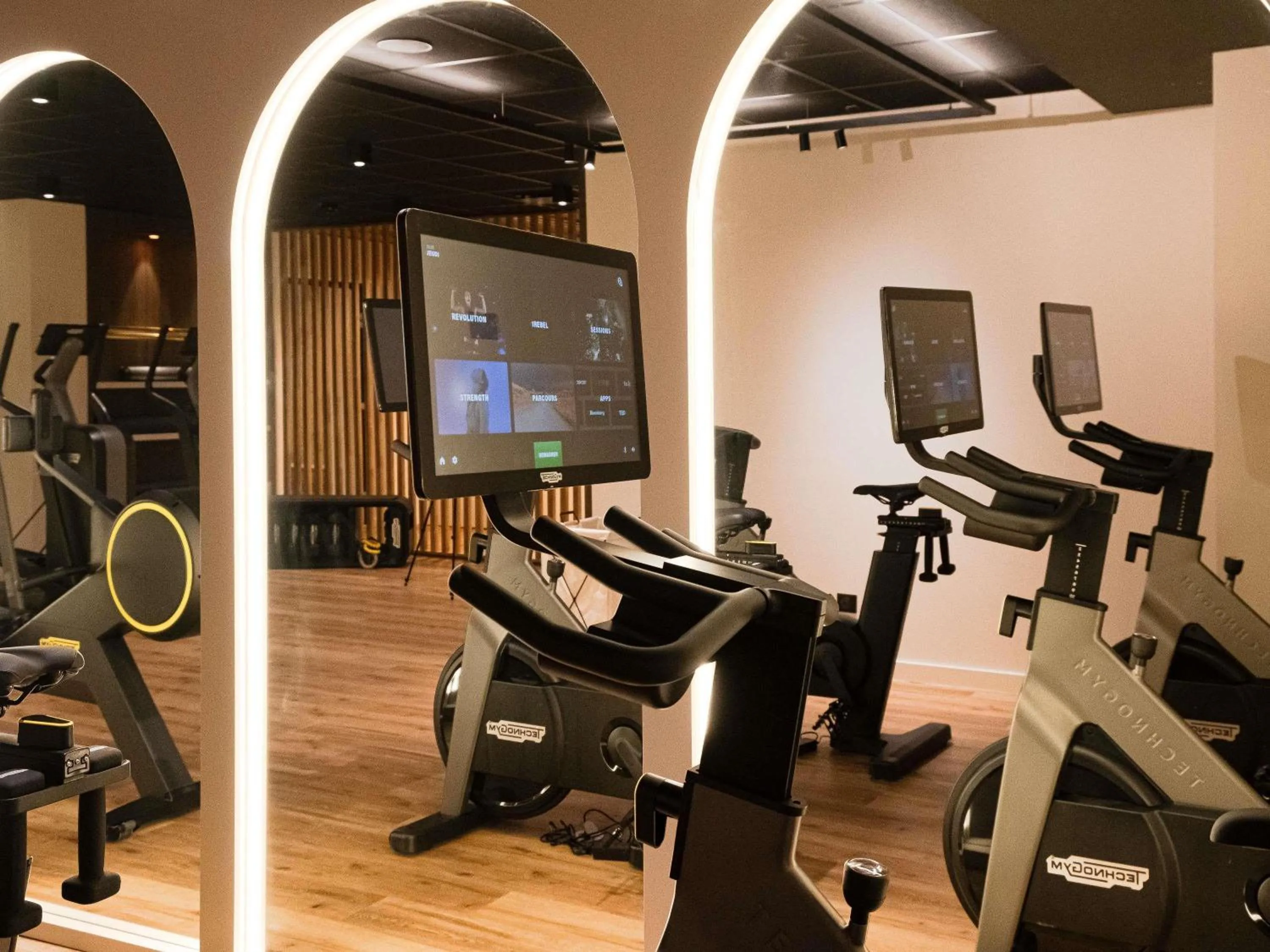 Fitness centre/facilities in Mercure Saint-Lary