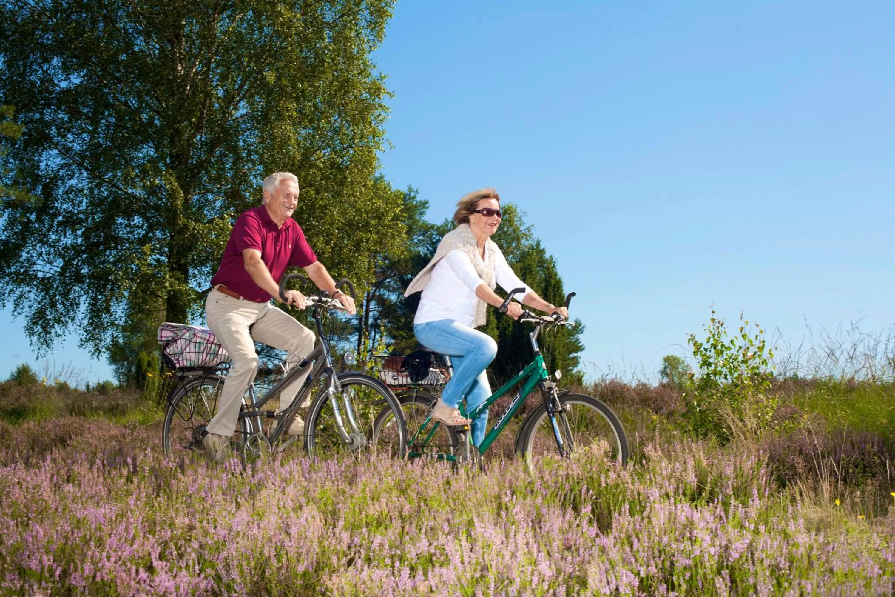 Cycling in Hotel Pension Fortuna