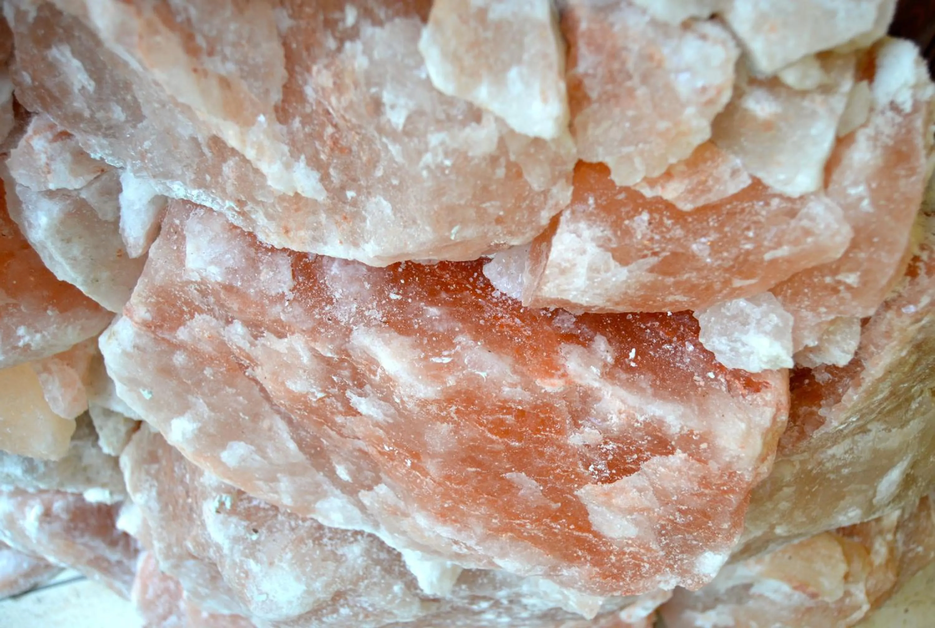 Spa and wellness centre/facilities in Hotel Pension Fortuna