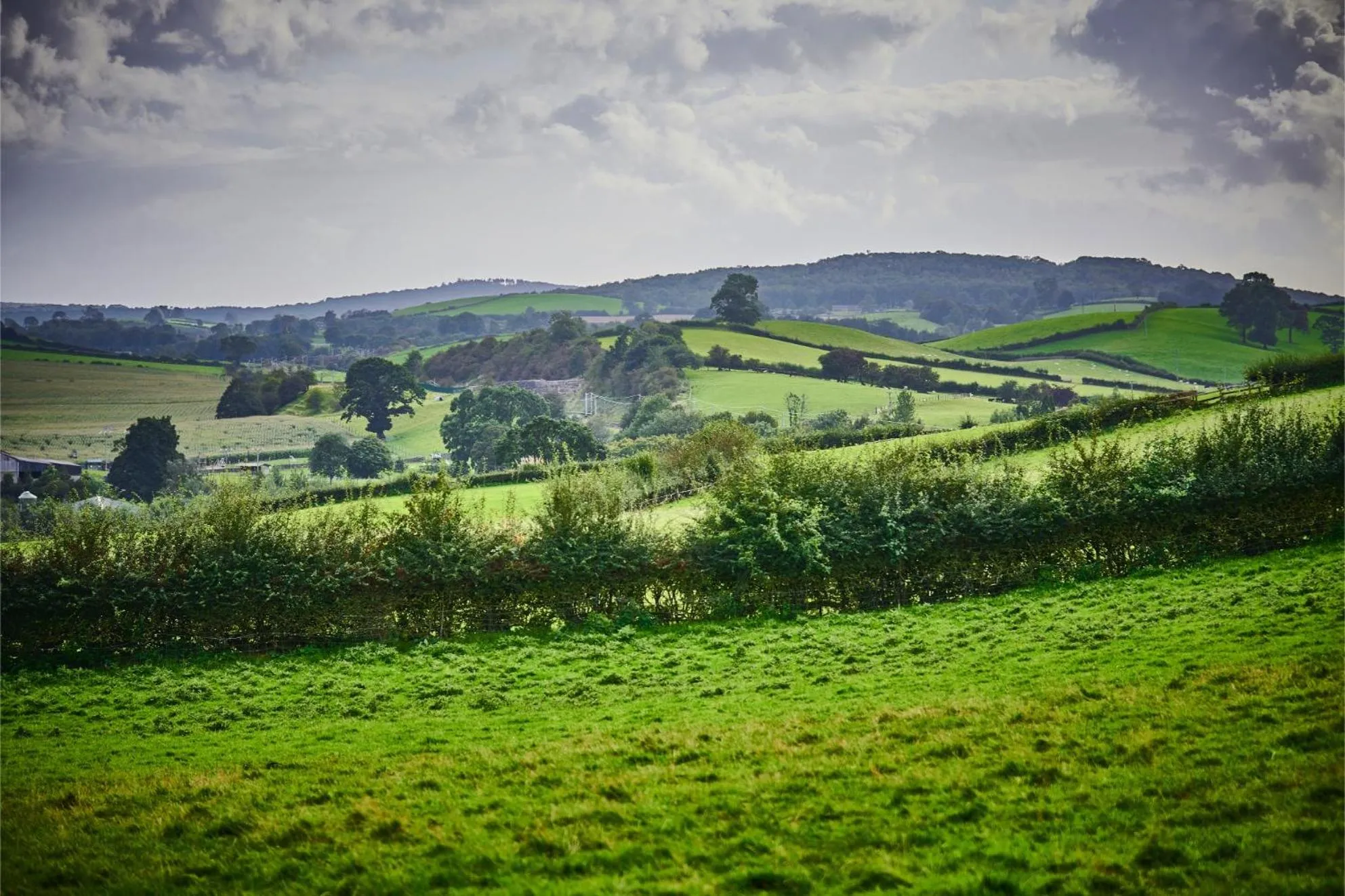Natural landscape in Newlands Farm Stables