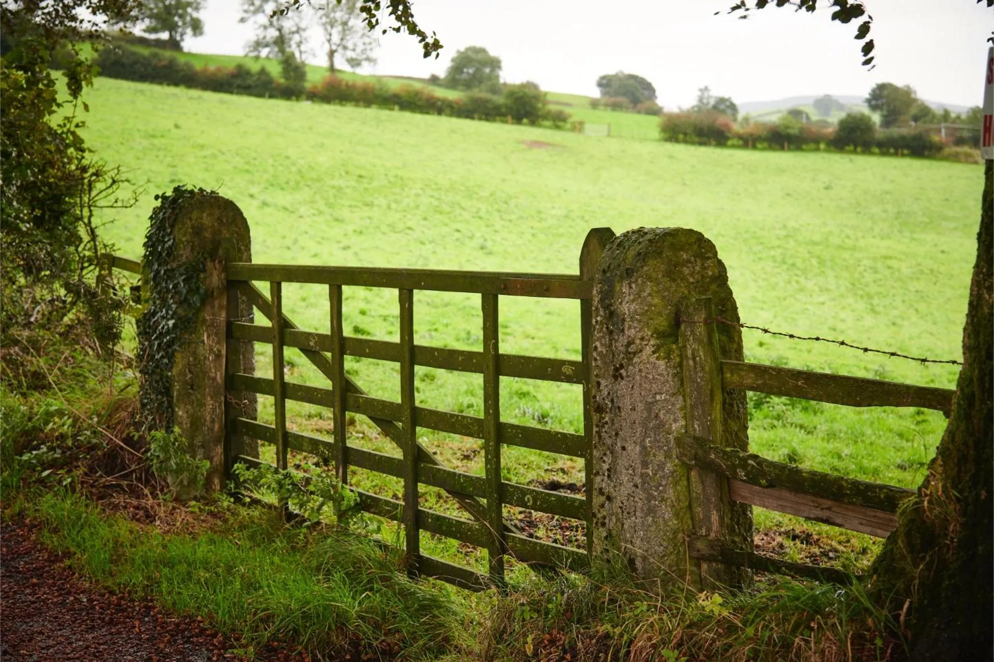 Natural landscape in Newlands Farm Stables