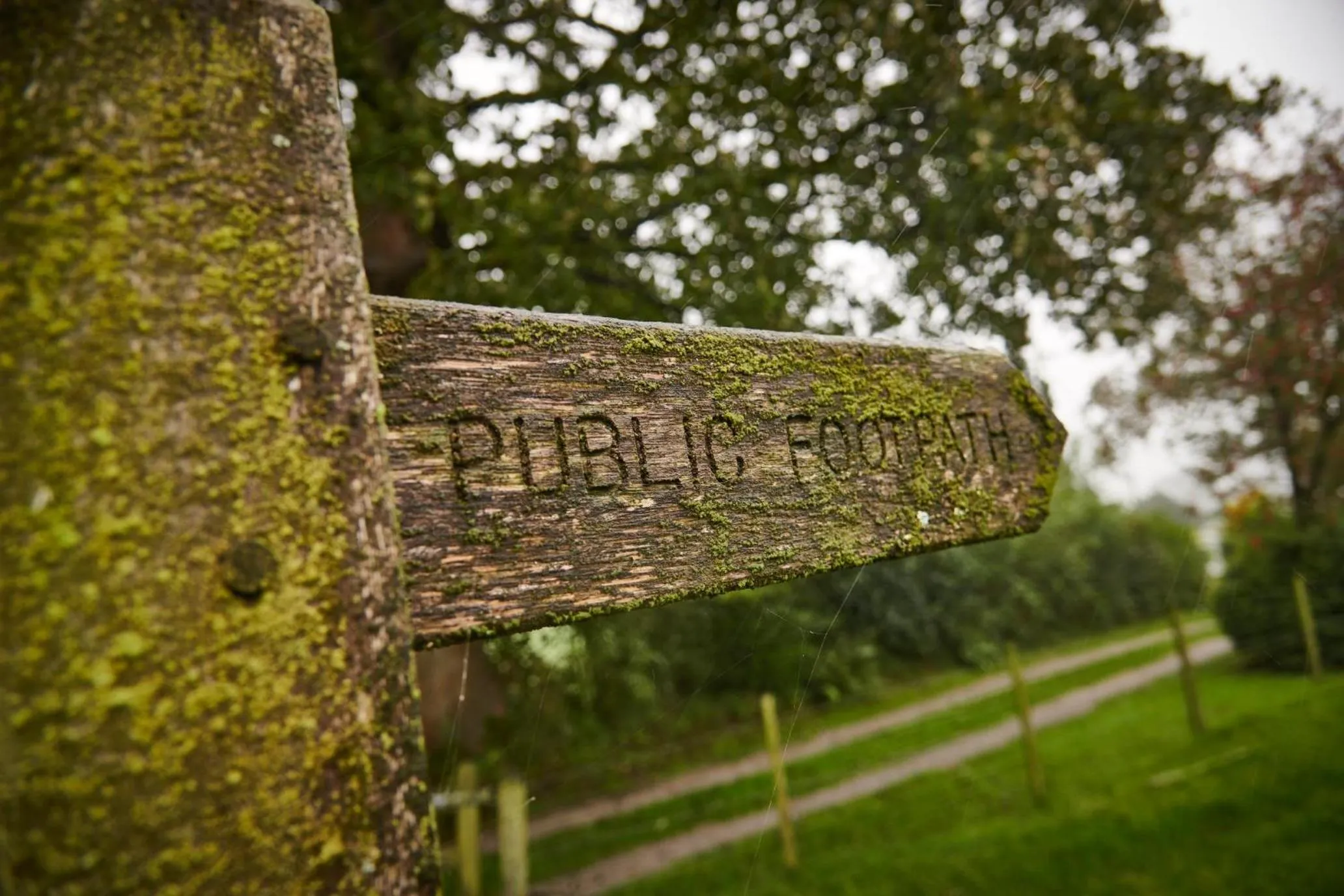 Activities in Newlands Farm Stables