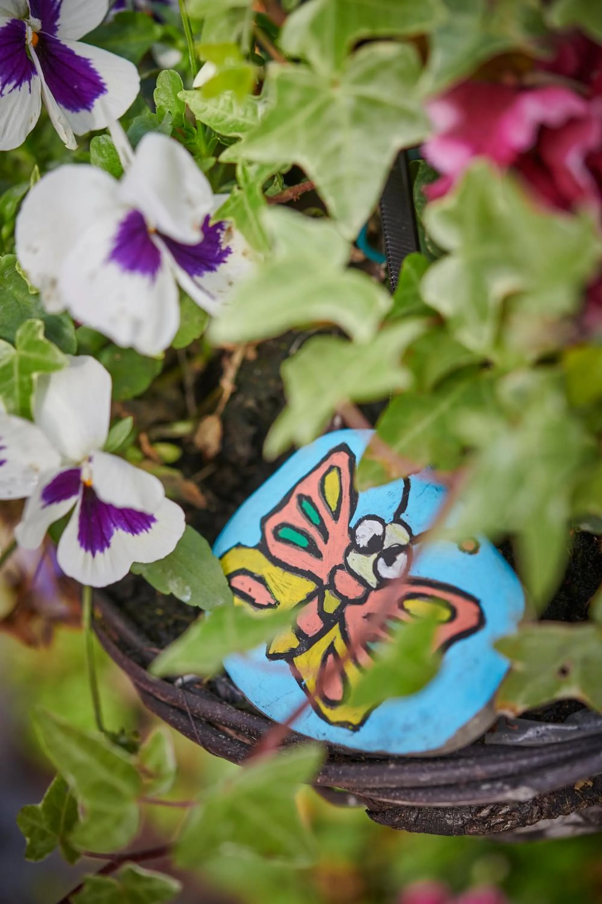 Other in Newlands Farm Stables