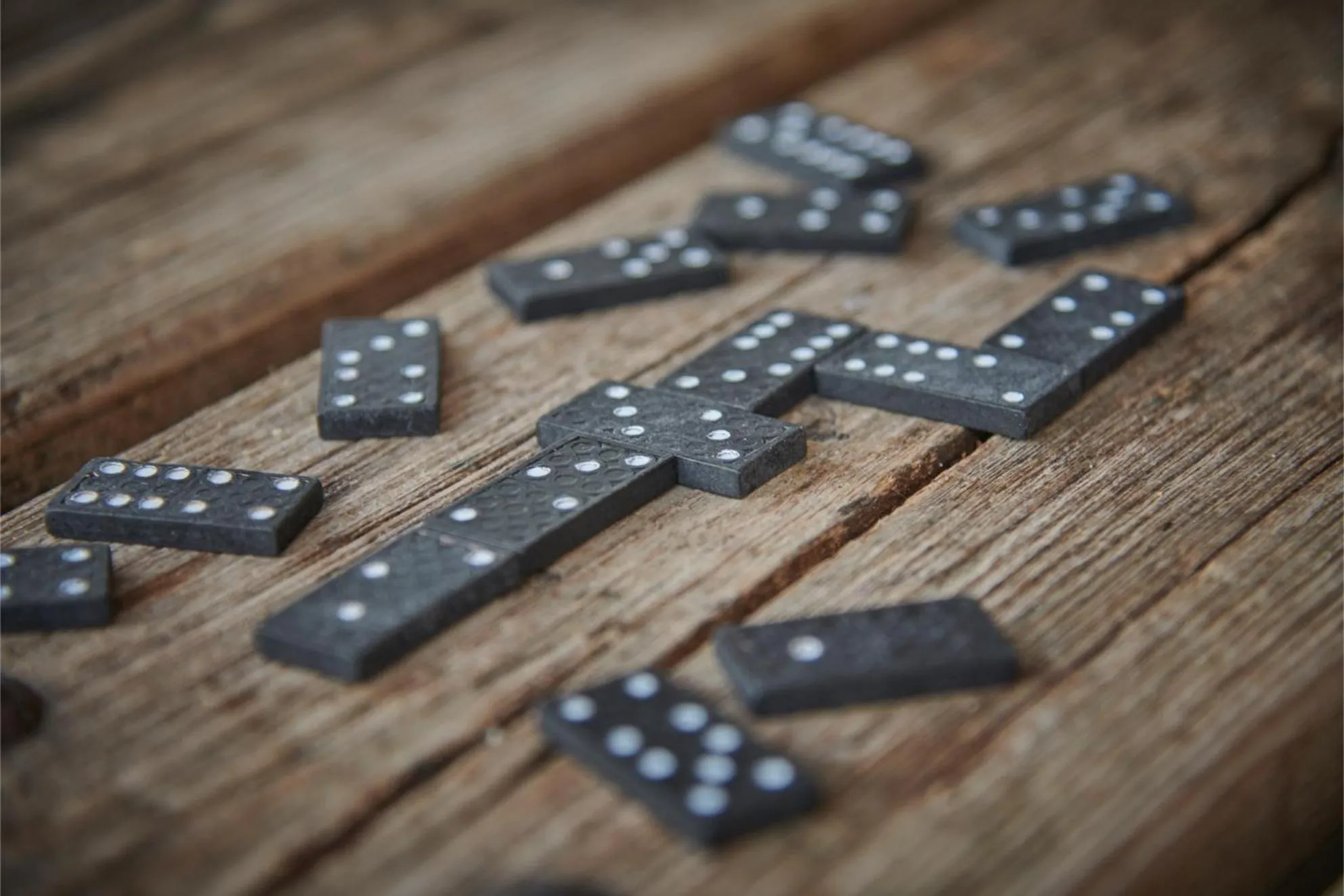 Activities in Newlands Farm Stables