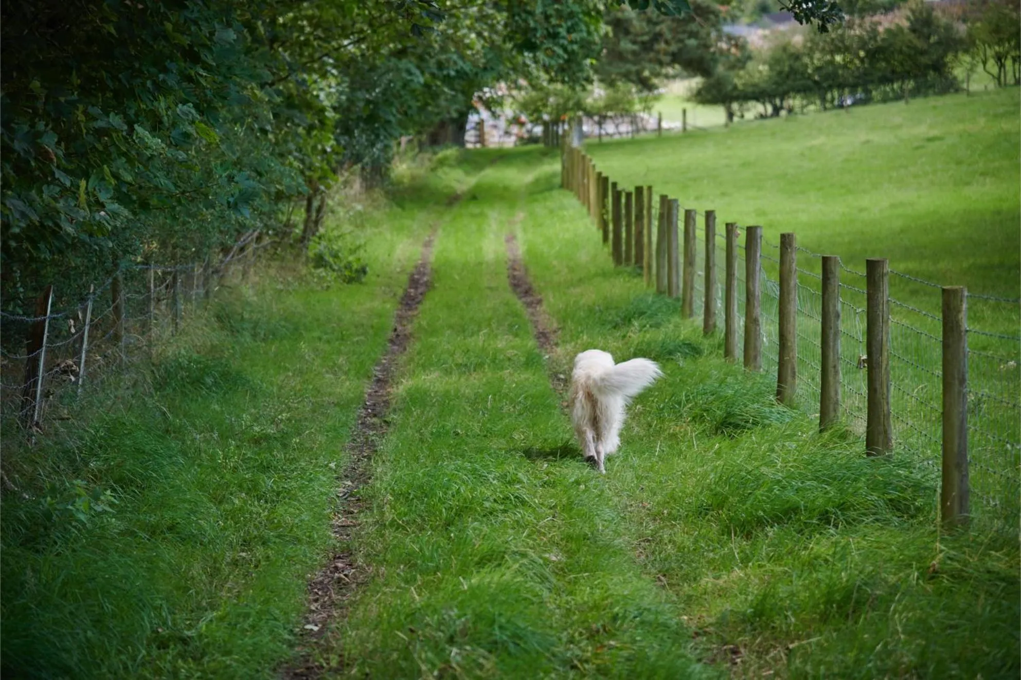 Activities in Newlands Farm Stables