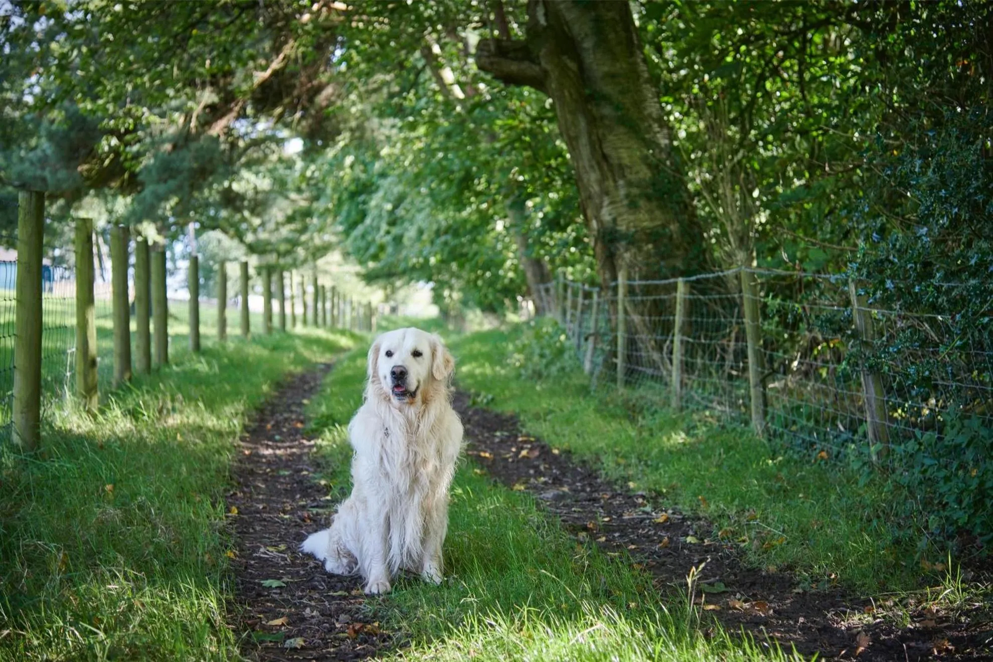 Natural landscape in Newlands Farm Stables