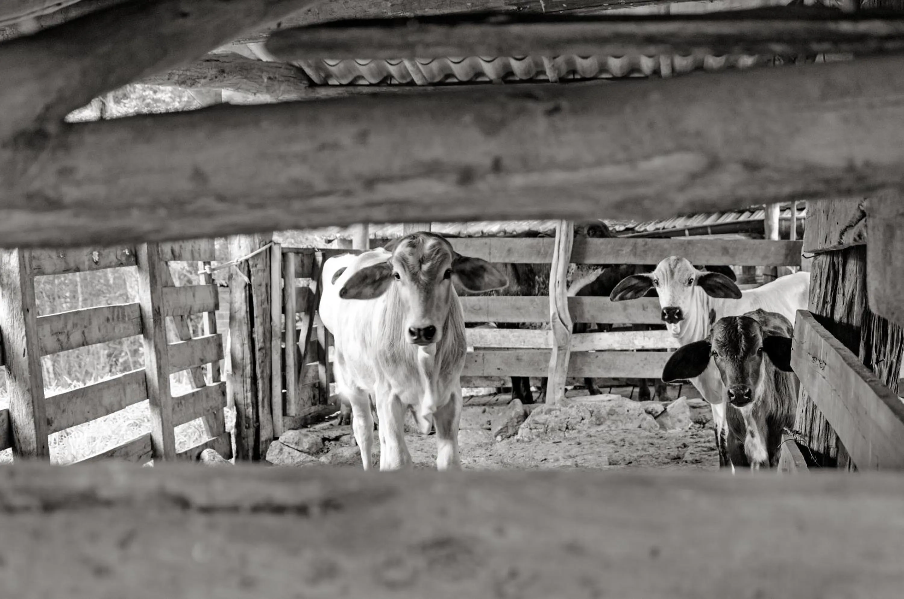View (from property/room) in Pousada da Gruta