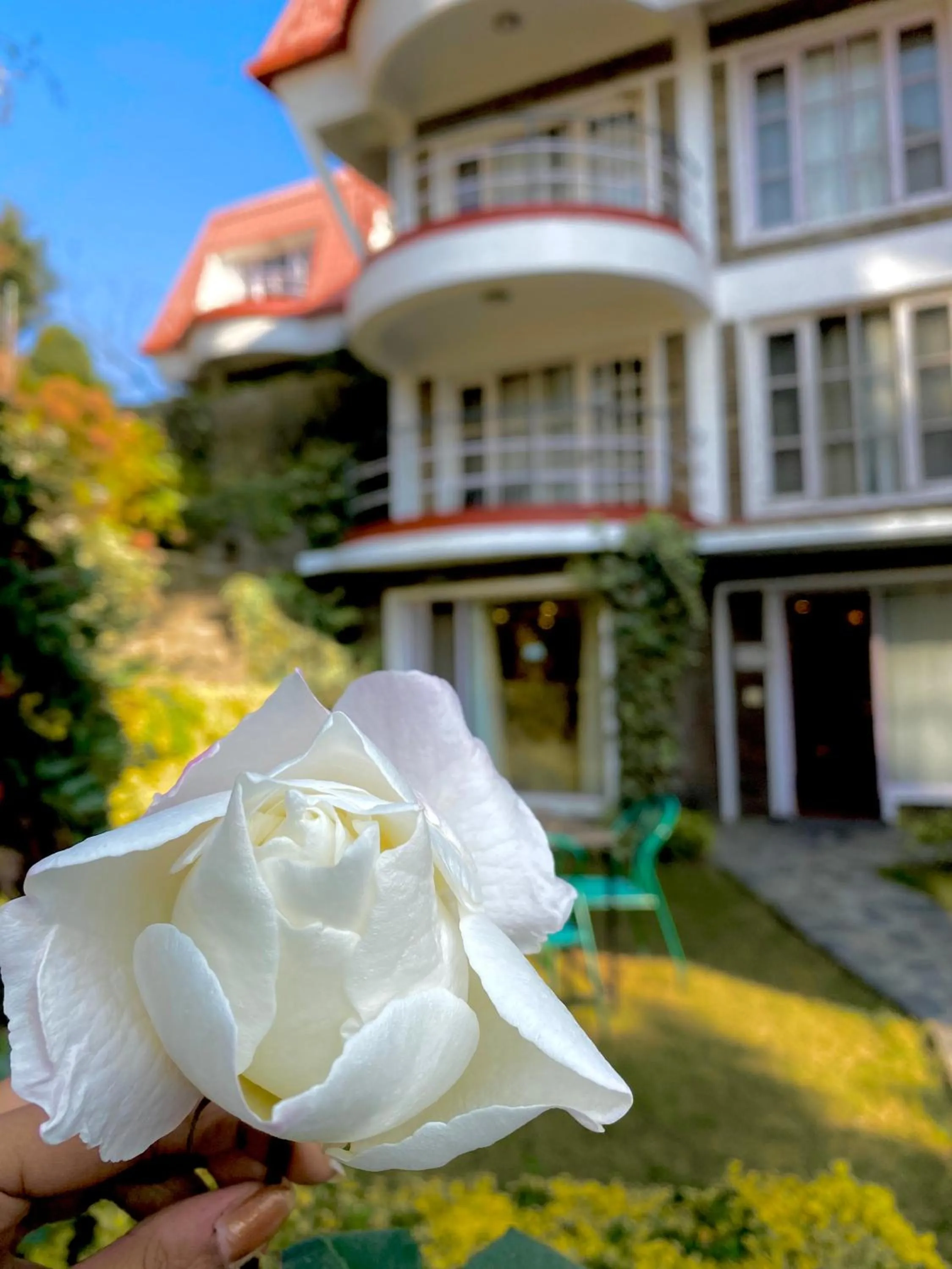 Garden in Marigold Sarovar Portico Shimla