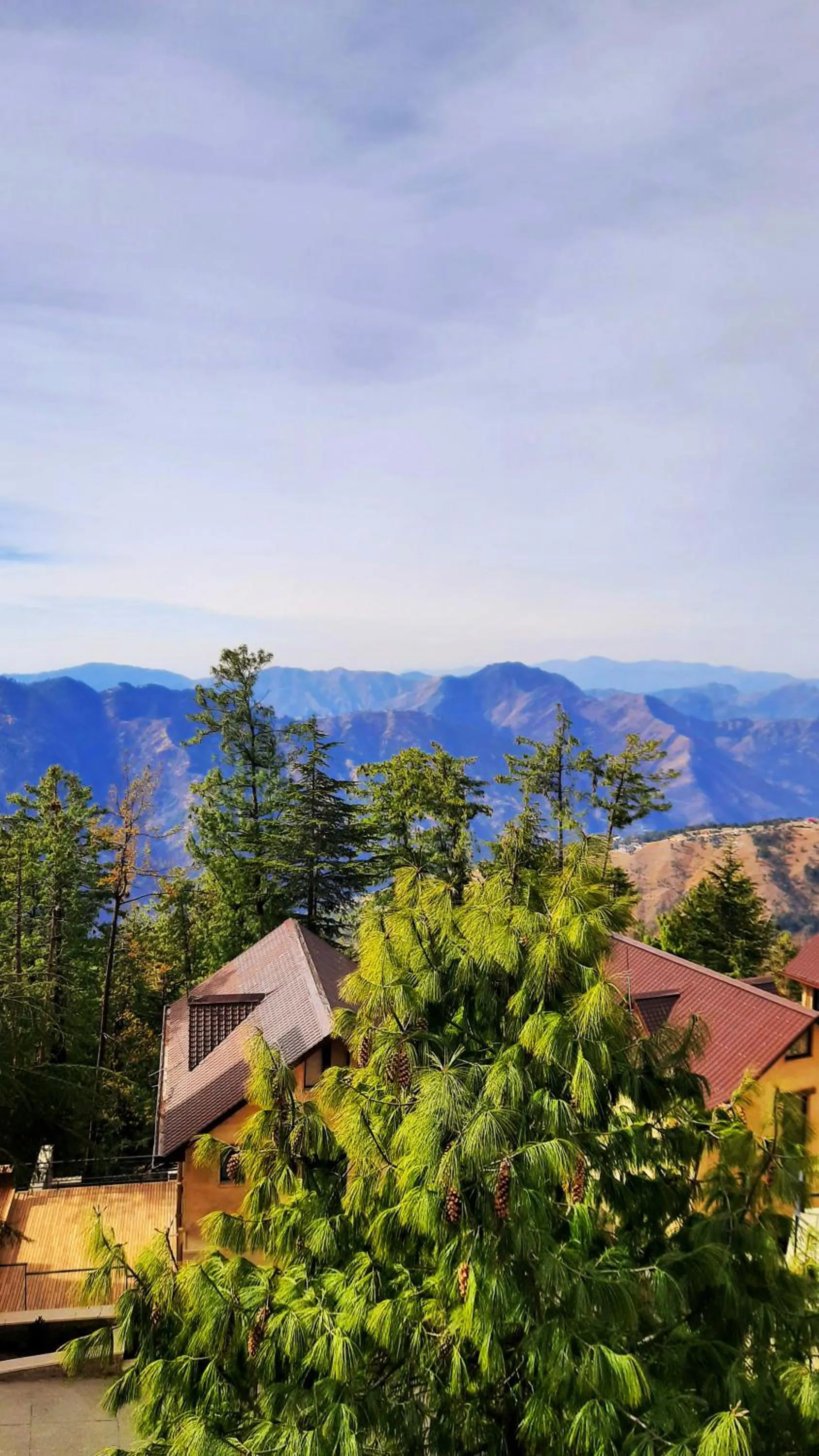 Bird's eye view in Marigold Sarovar Portico Shimla