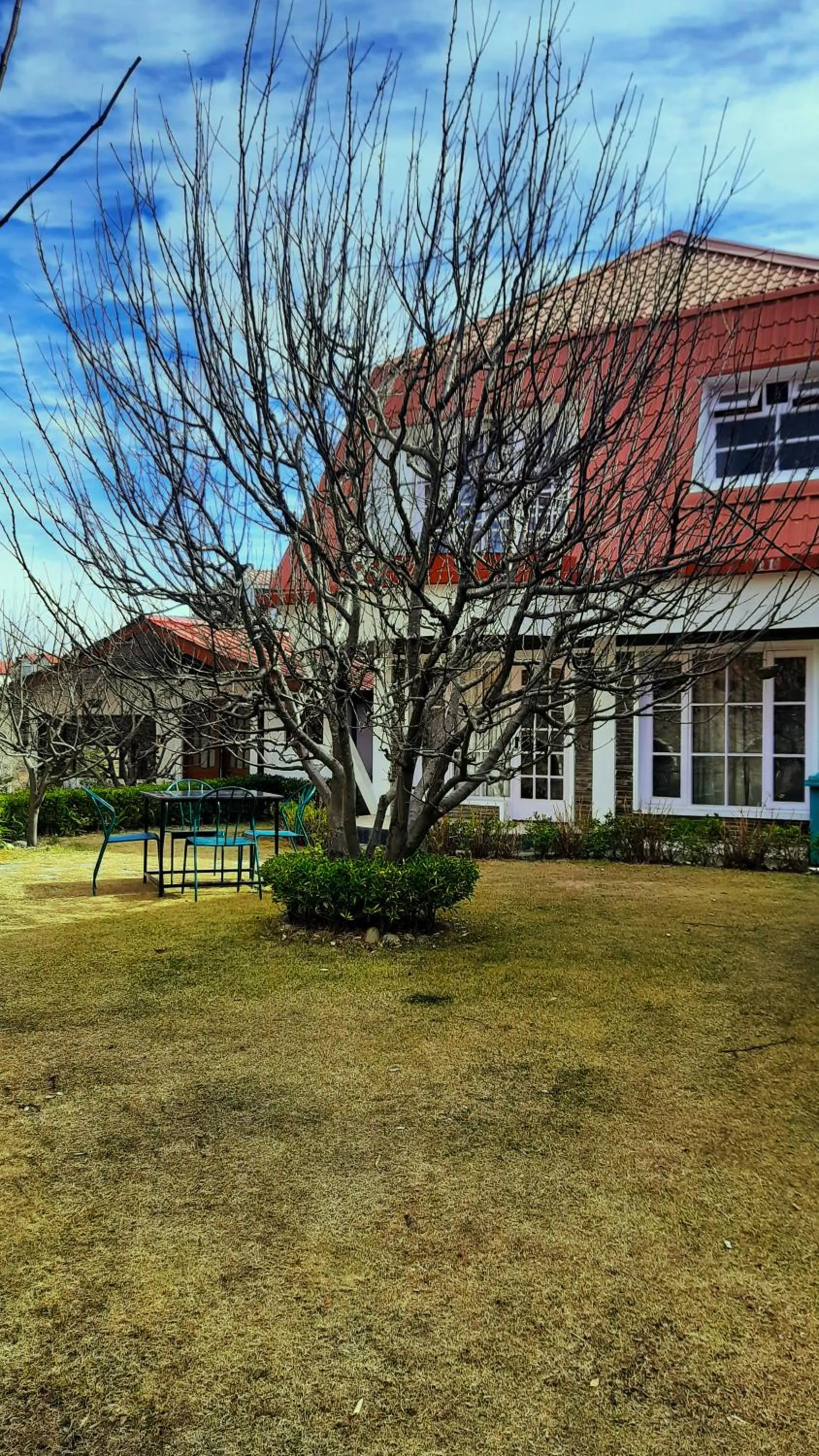 Property building in Marigold Sarovar Portico Shimla