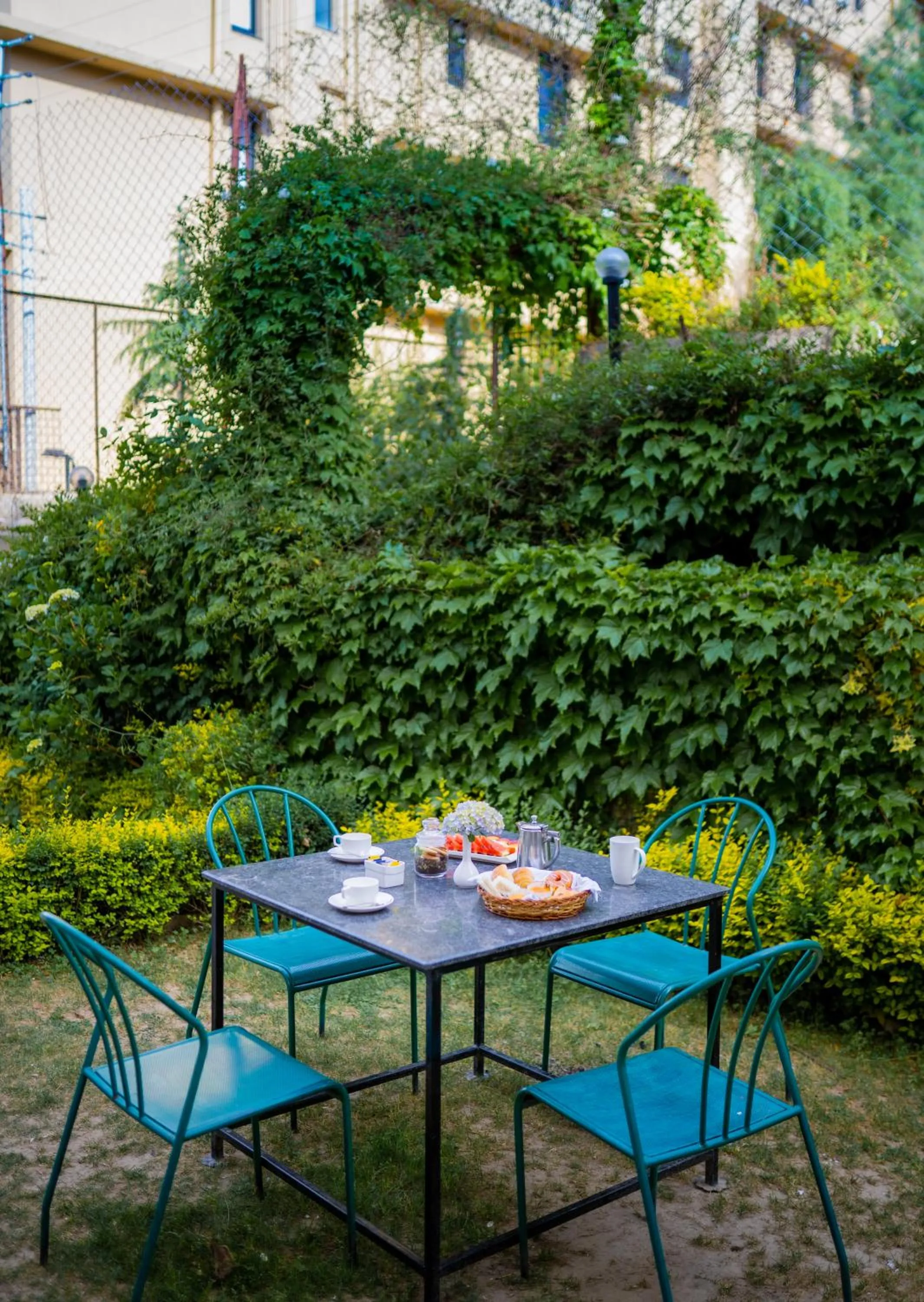 Garden in Marigold Sarovar Portico Shimla