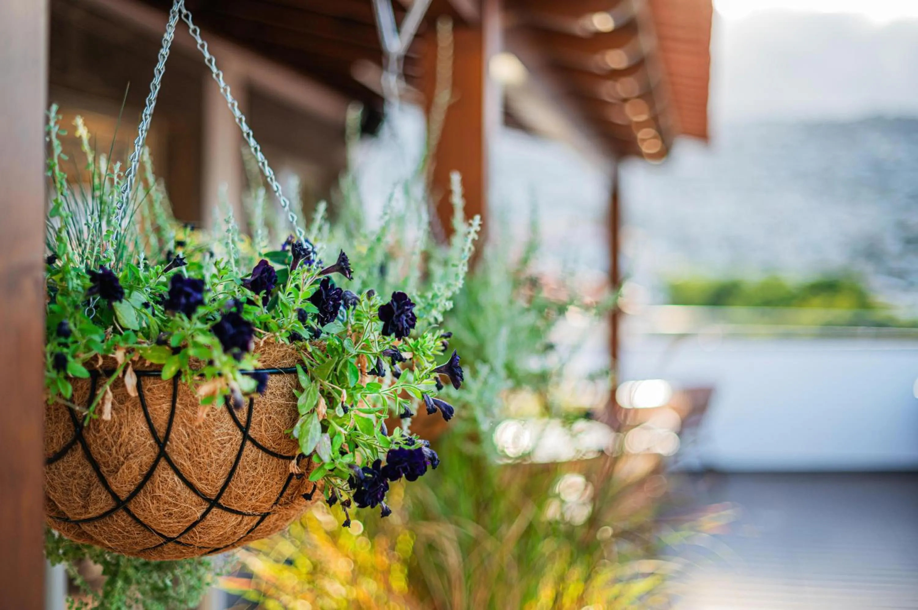 Balcony/Terrace in Hotel Madeira