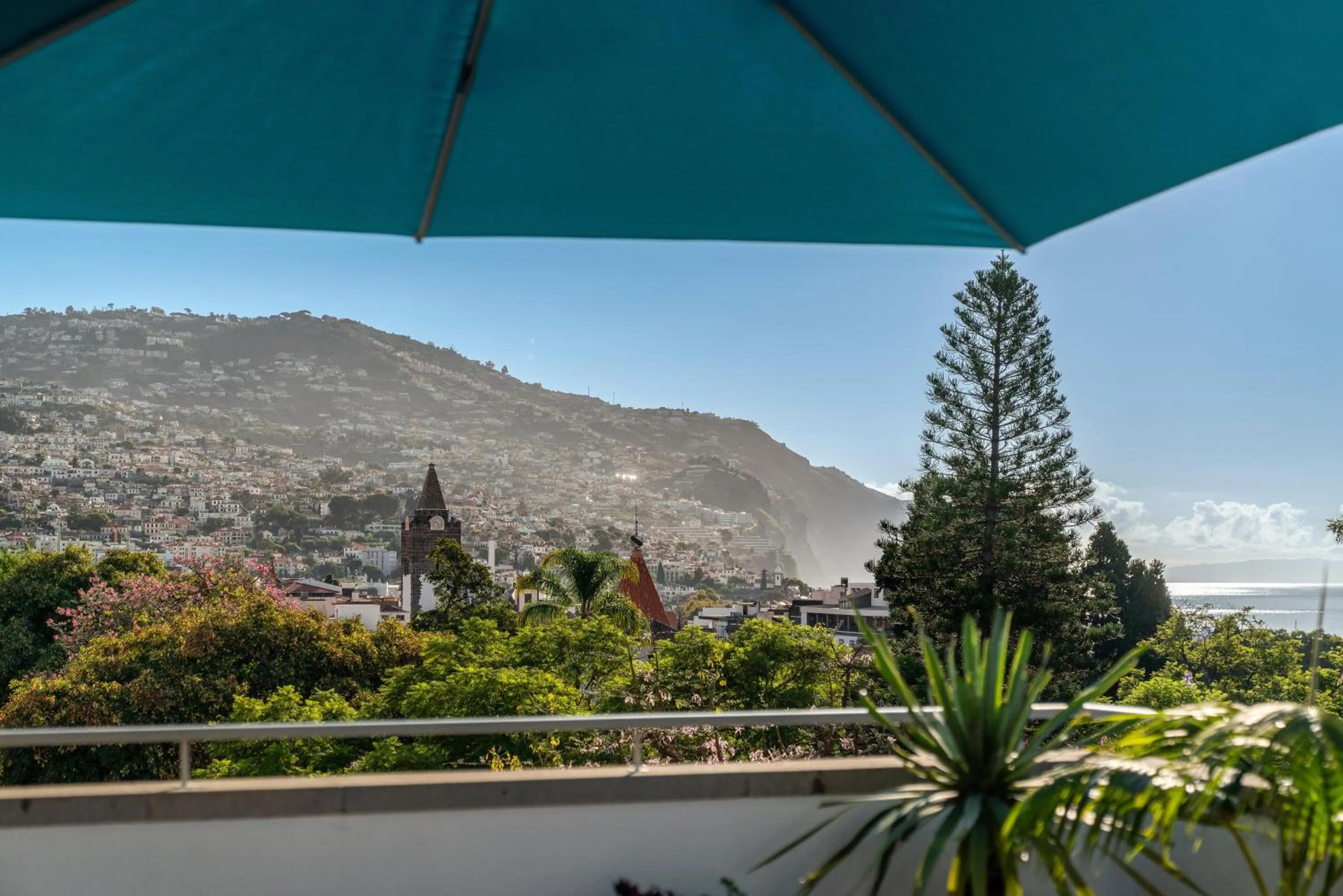 Natural landscape in Hotel Madeira