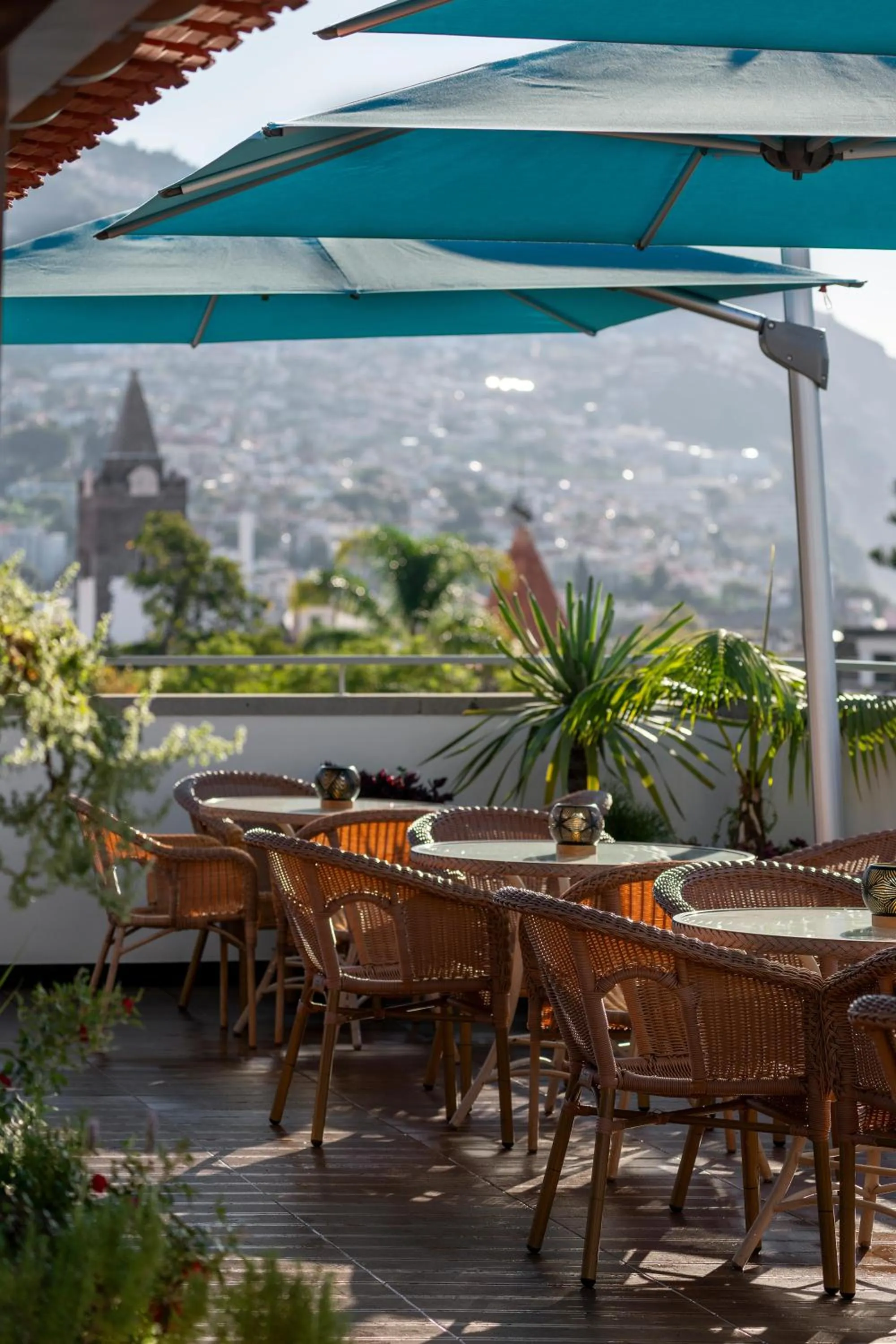 Balcony/Terrace in Hotel Madeira