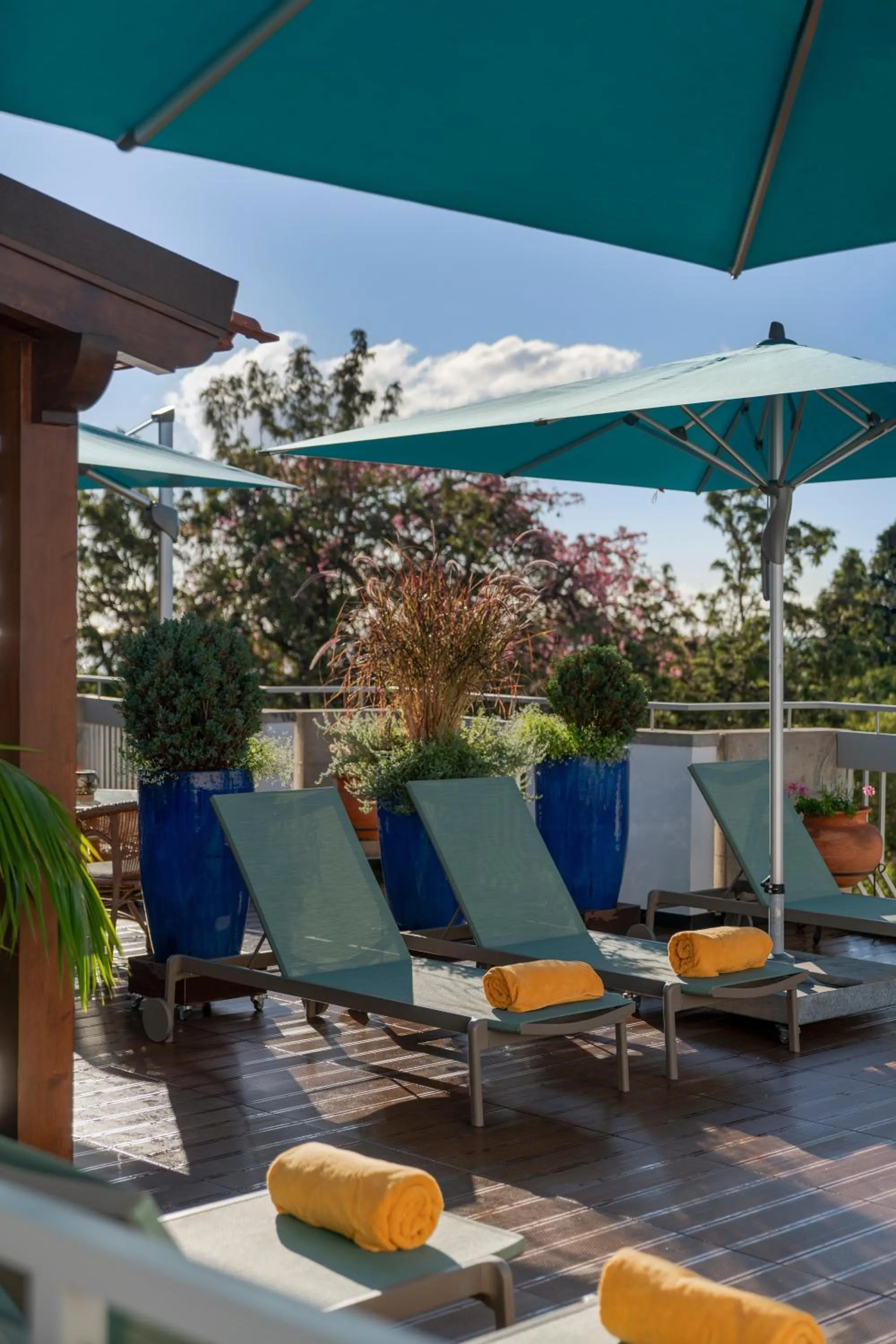 Balcony/Terrace in Hotel Madeira
