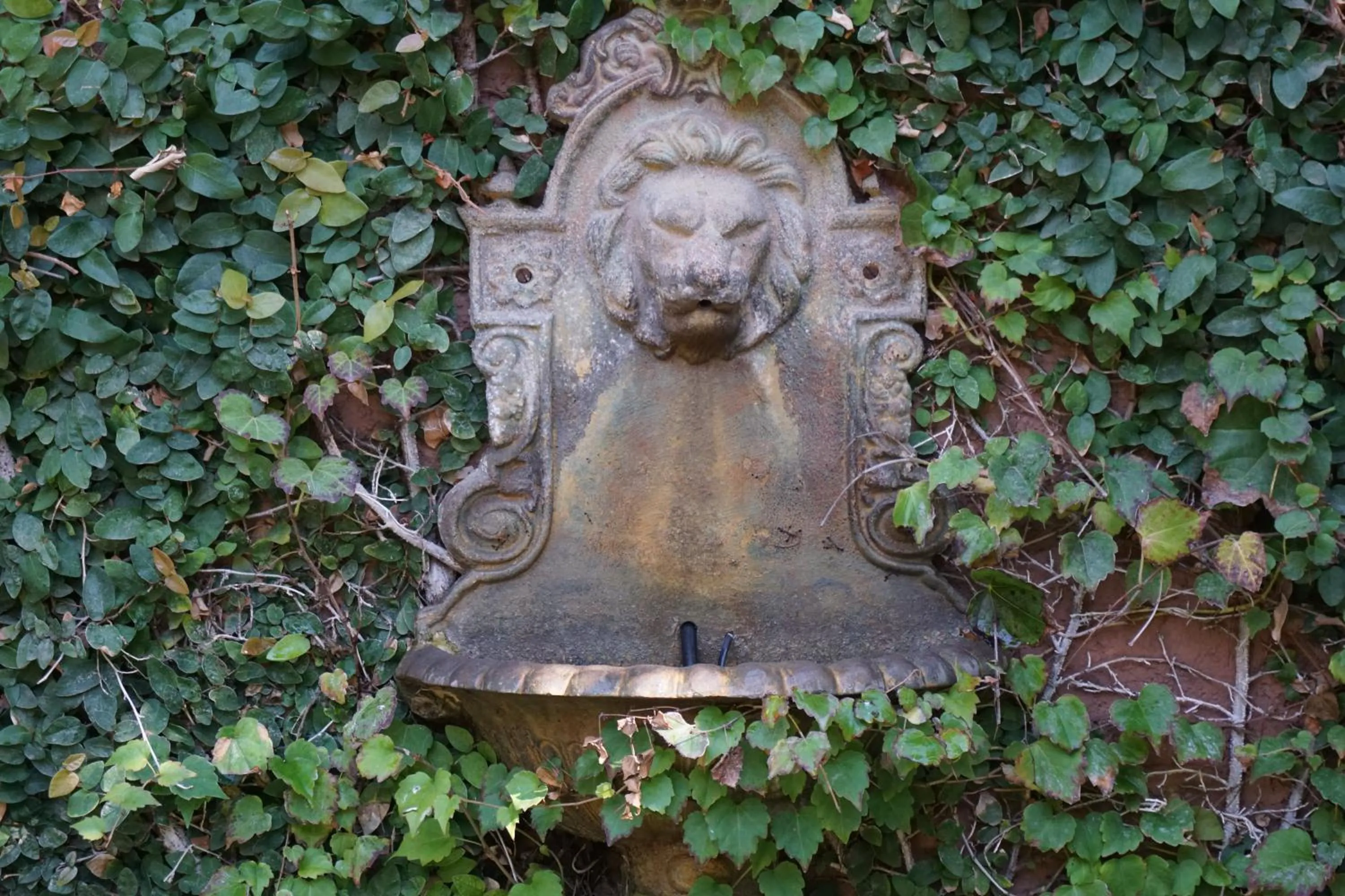 Decorative detail in Casa Lila