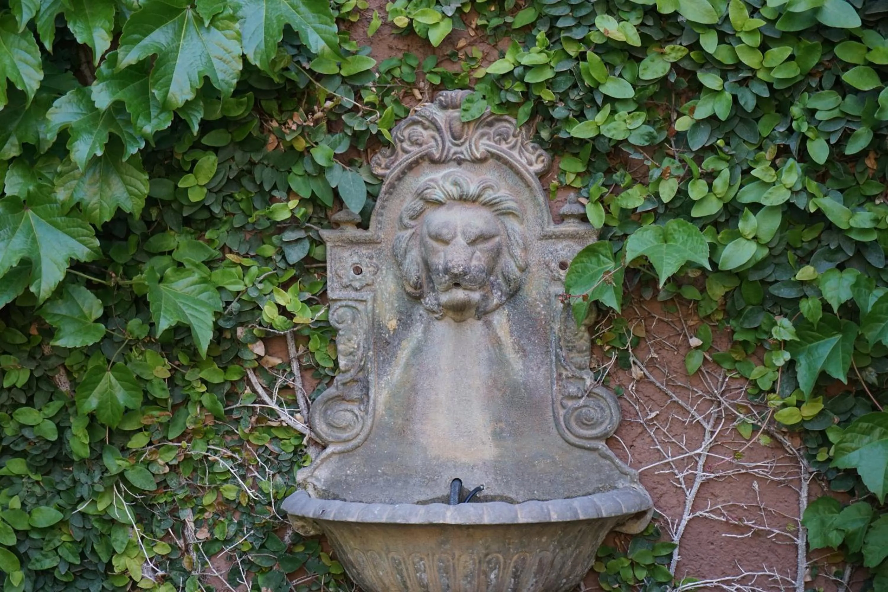 Decorative detail in Casa Lila