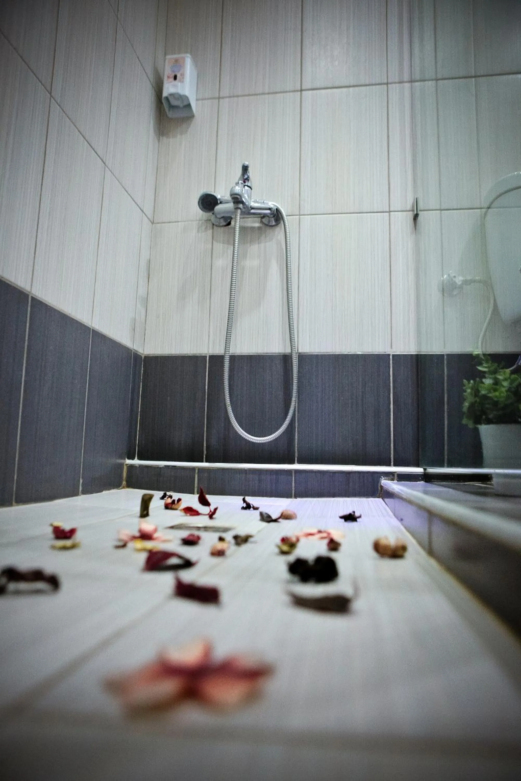 Shower in Hotel Epavli