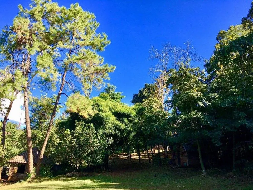 Garden in Jungle guest house