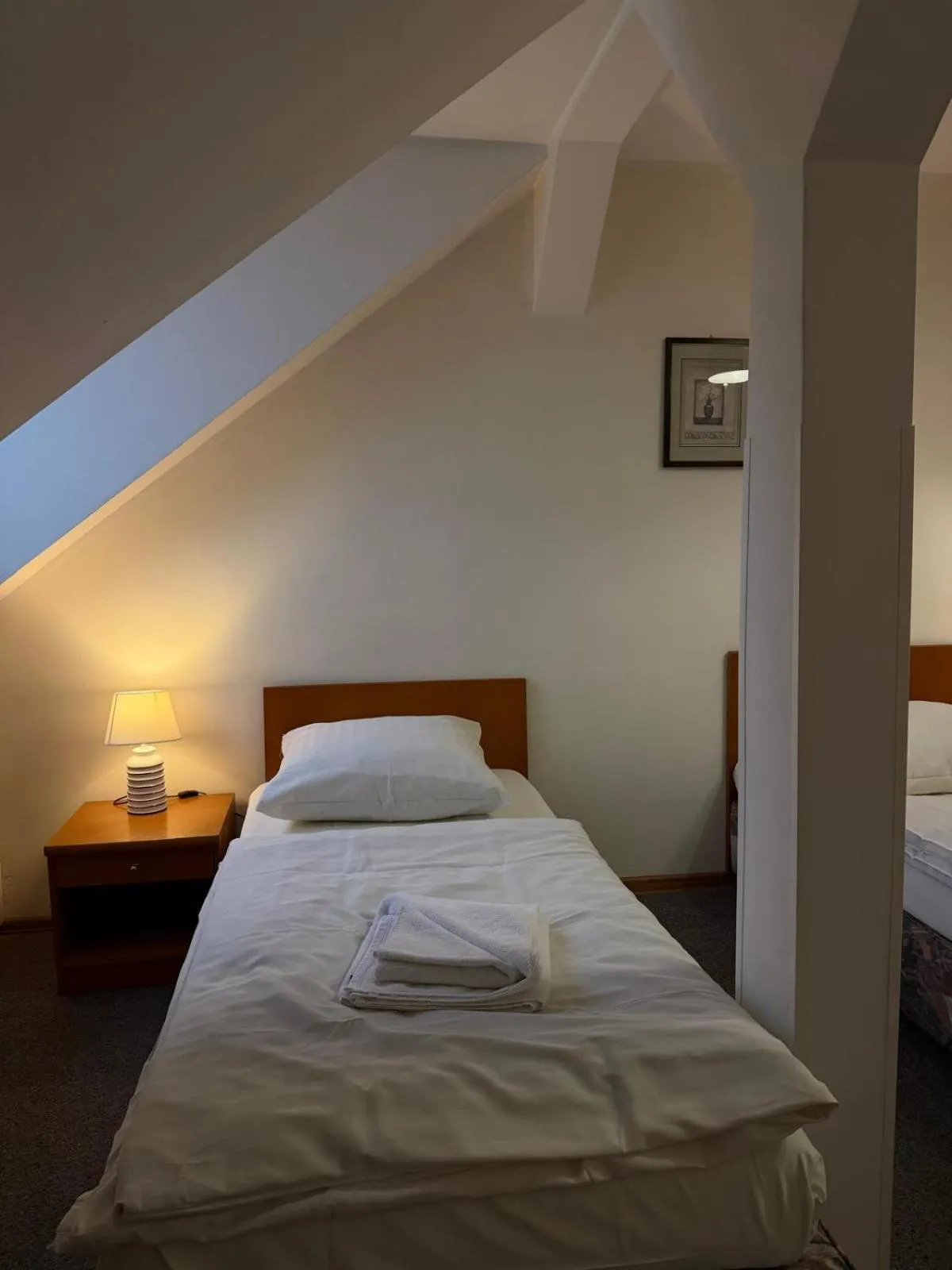 Bed in Hotel Dana