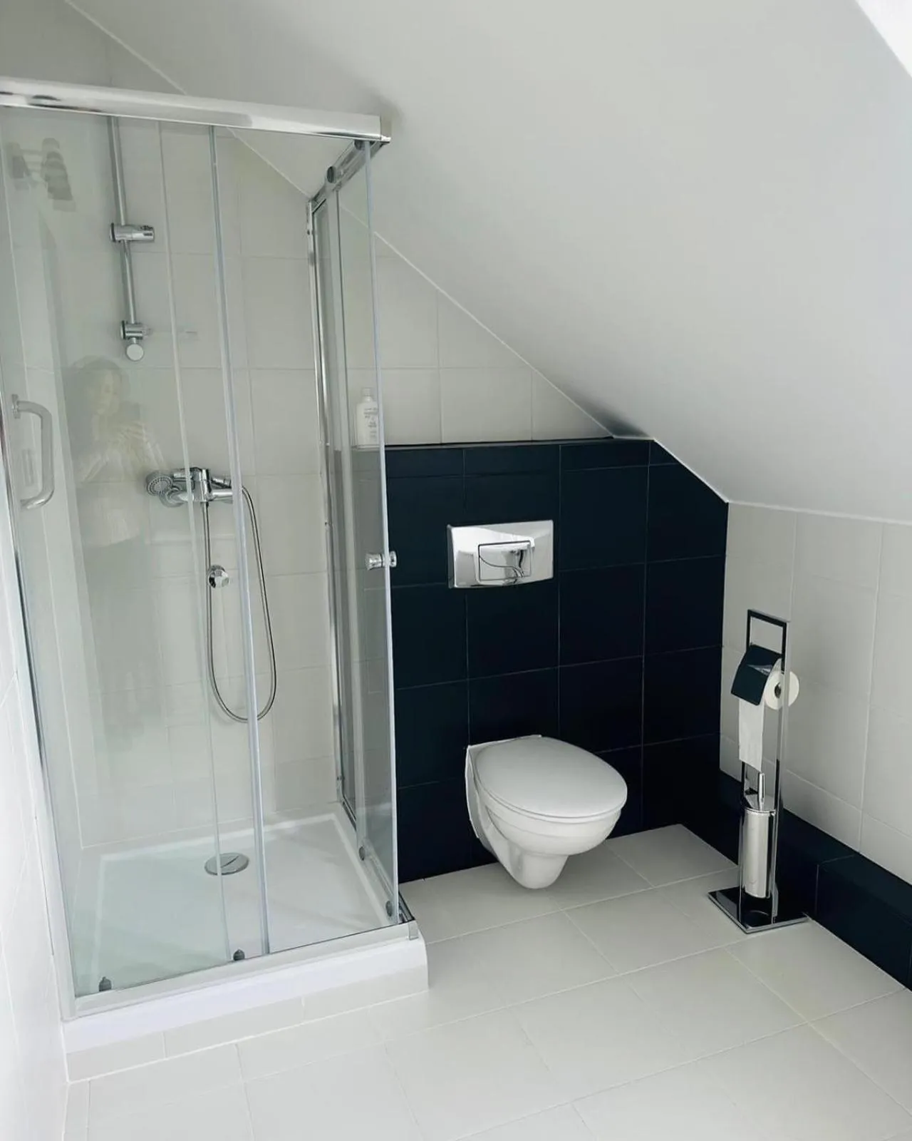Shower in Hotel Dana