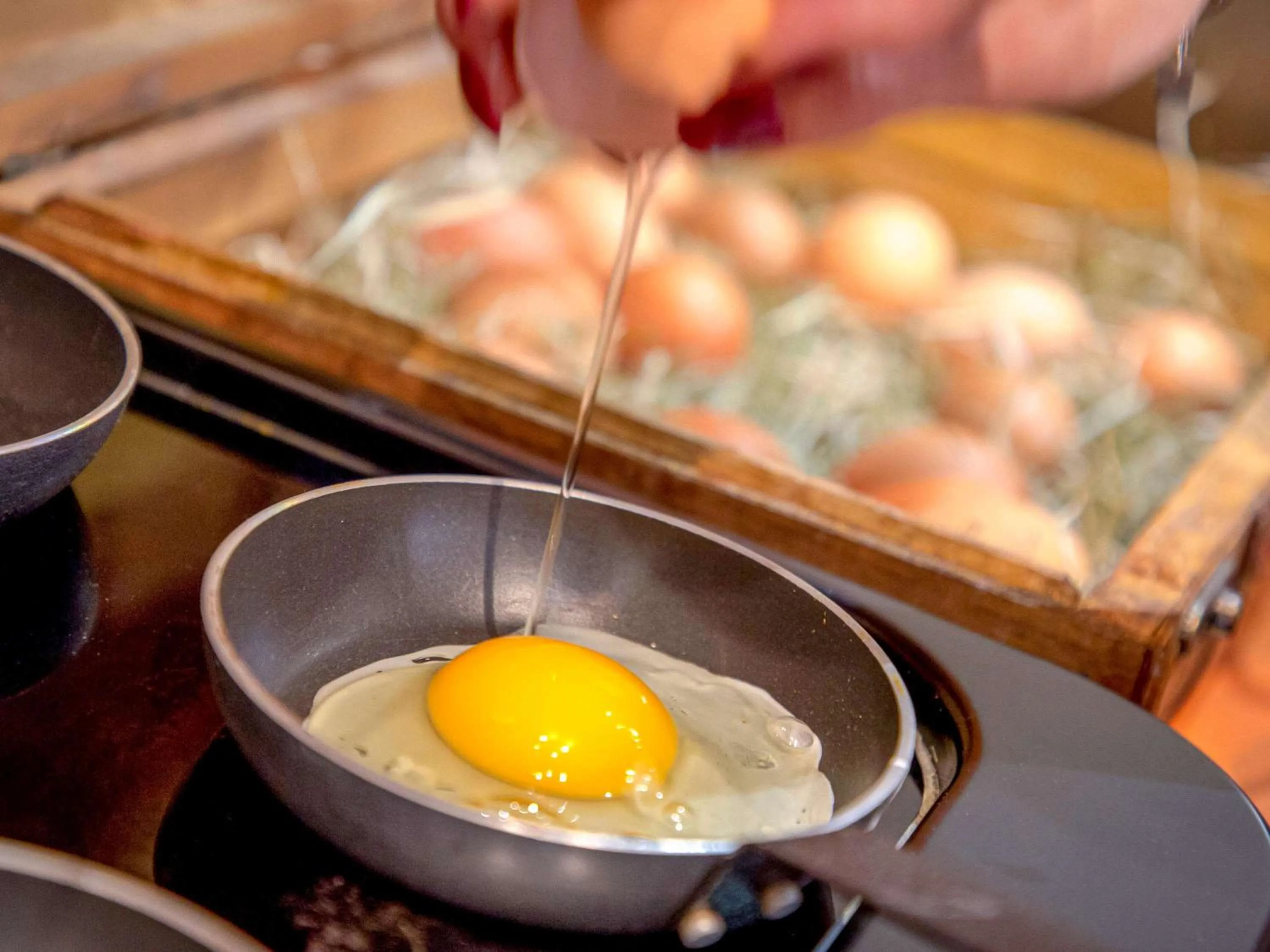 Restaurant/places to eat in Mercure Béziers