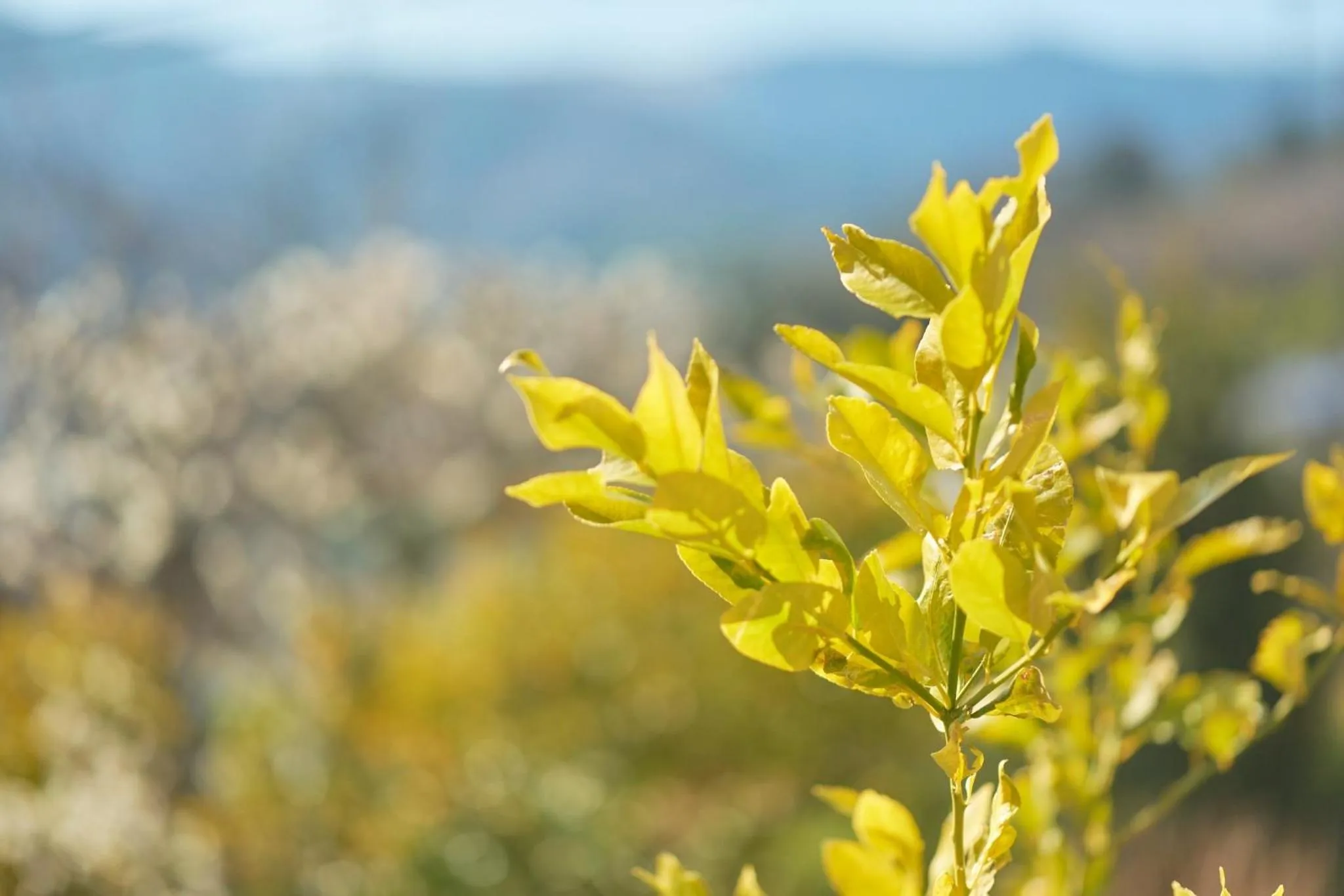 Suikouen / Vacation STAY 51966