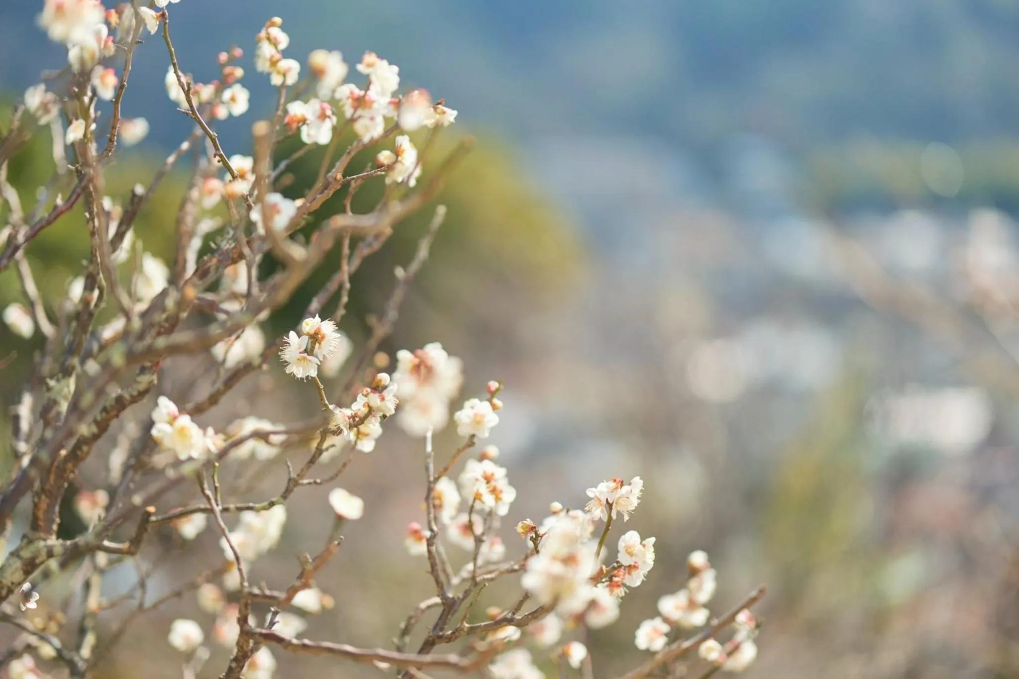 Suikouen / Vacation STAY 51966