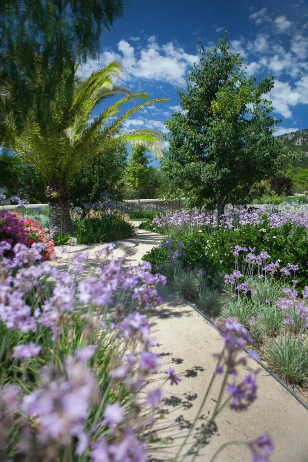 Garden in Castell Son Claret - The Leading Hotels of the World