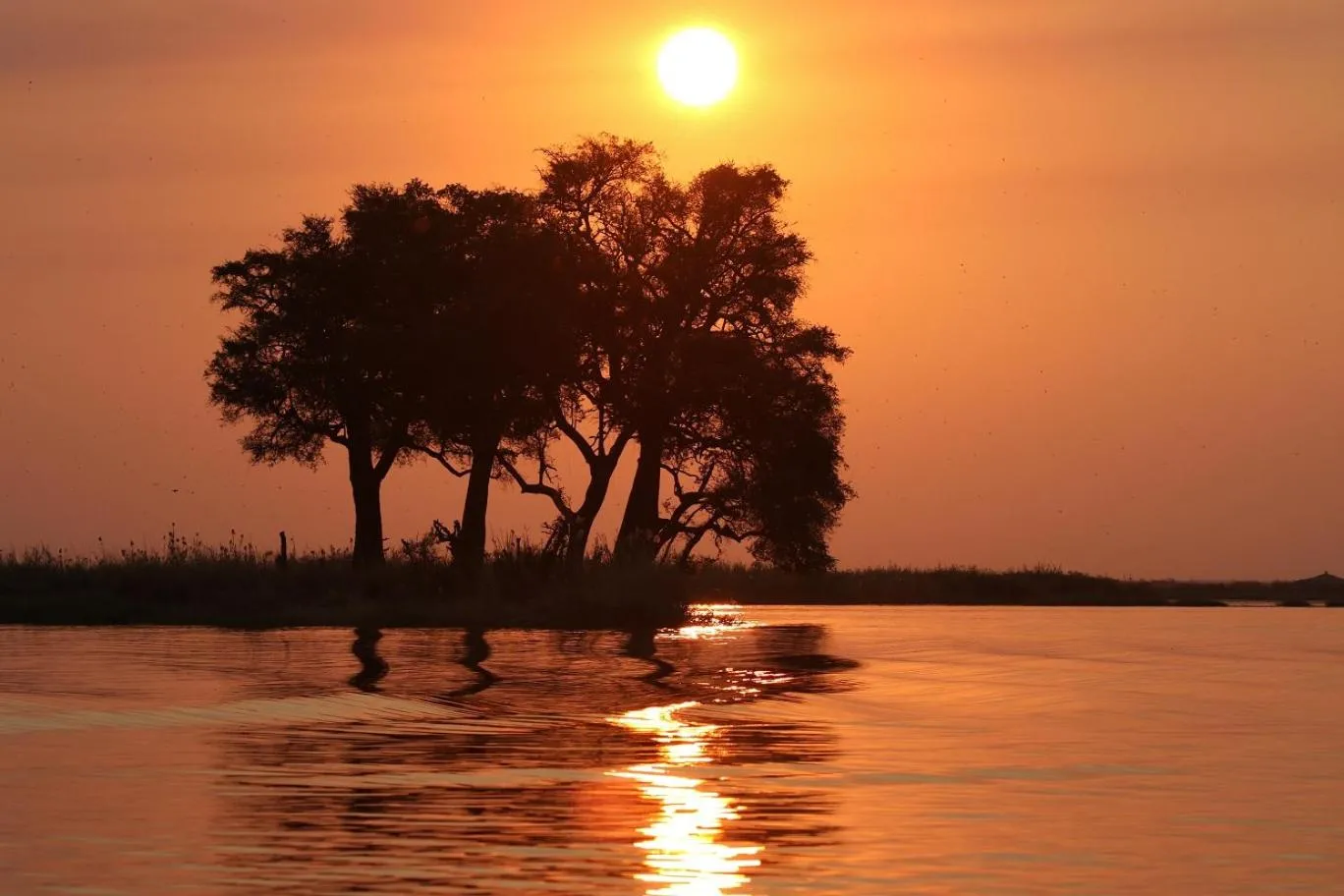 Natural landscape in Sunbirds Lodge Chobe