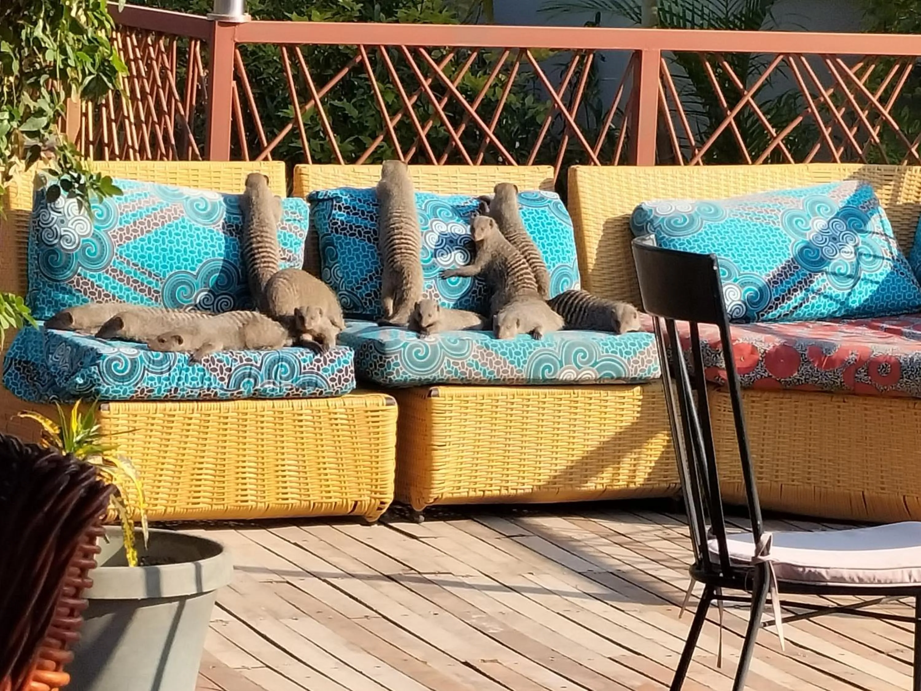 Seating area in Sunbirds Lodge Chobe